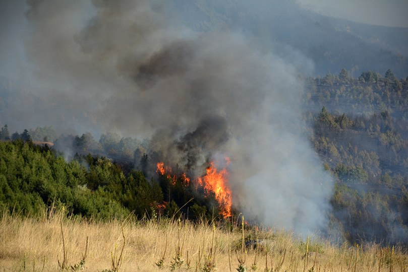 Пожарът в Кресна е страшен, евакуираха три села