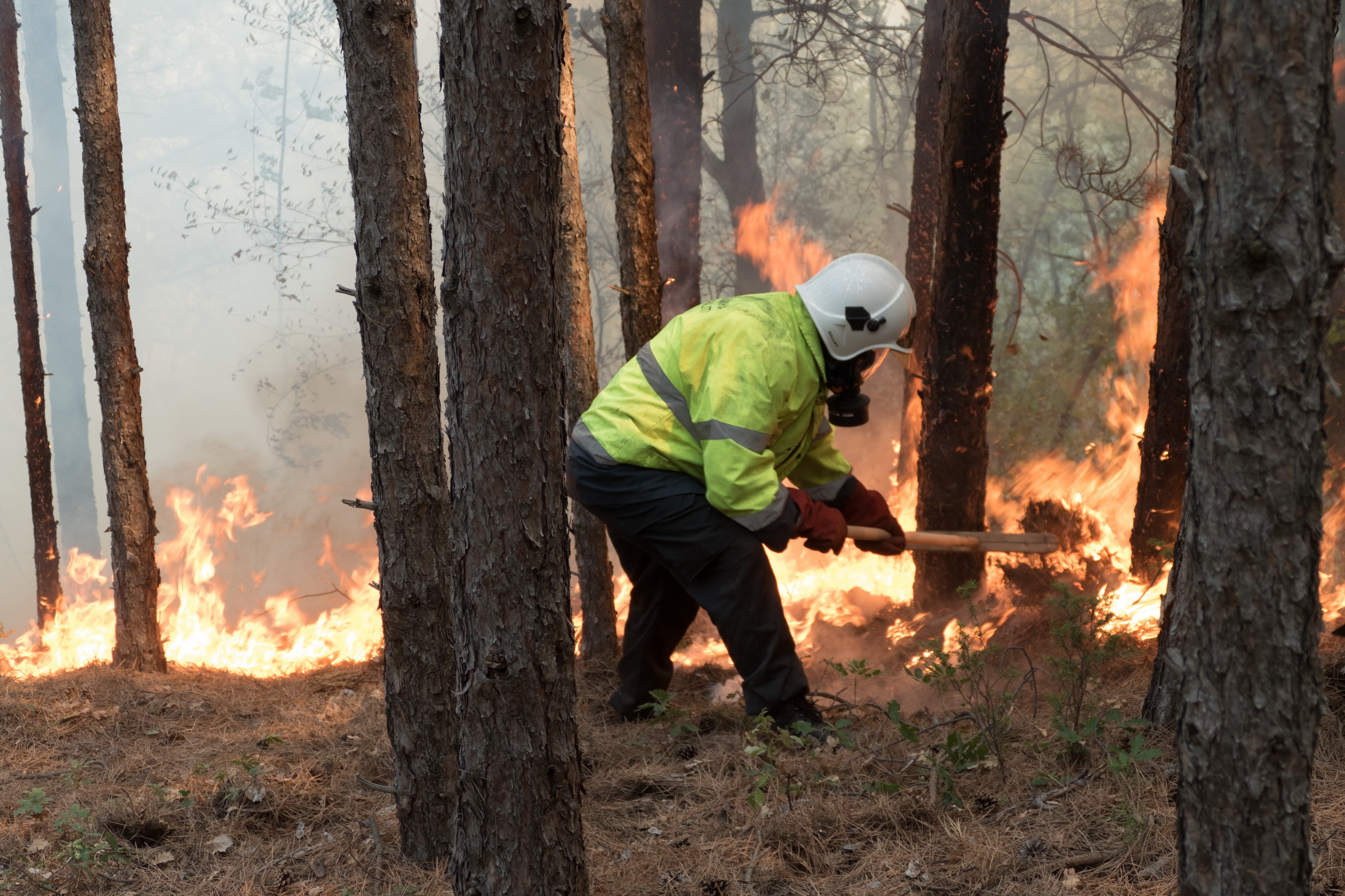 Шести ден продължава борбата с големия горски пожар в Кресненското дефиле