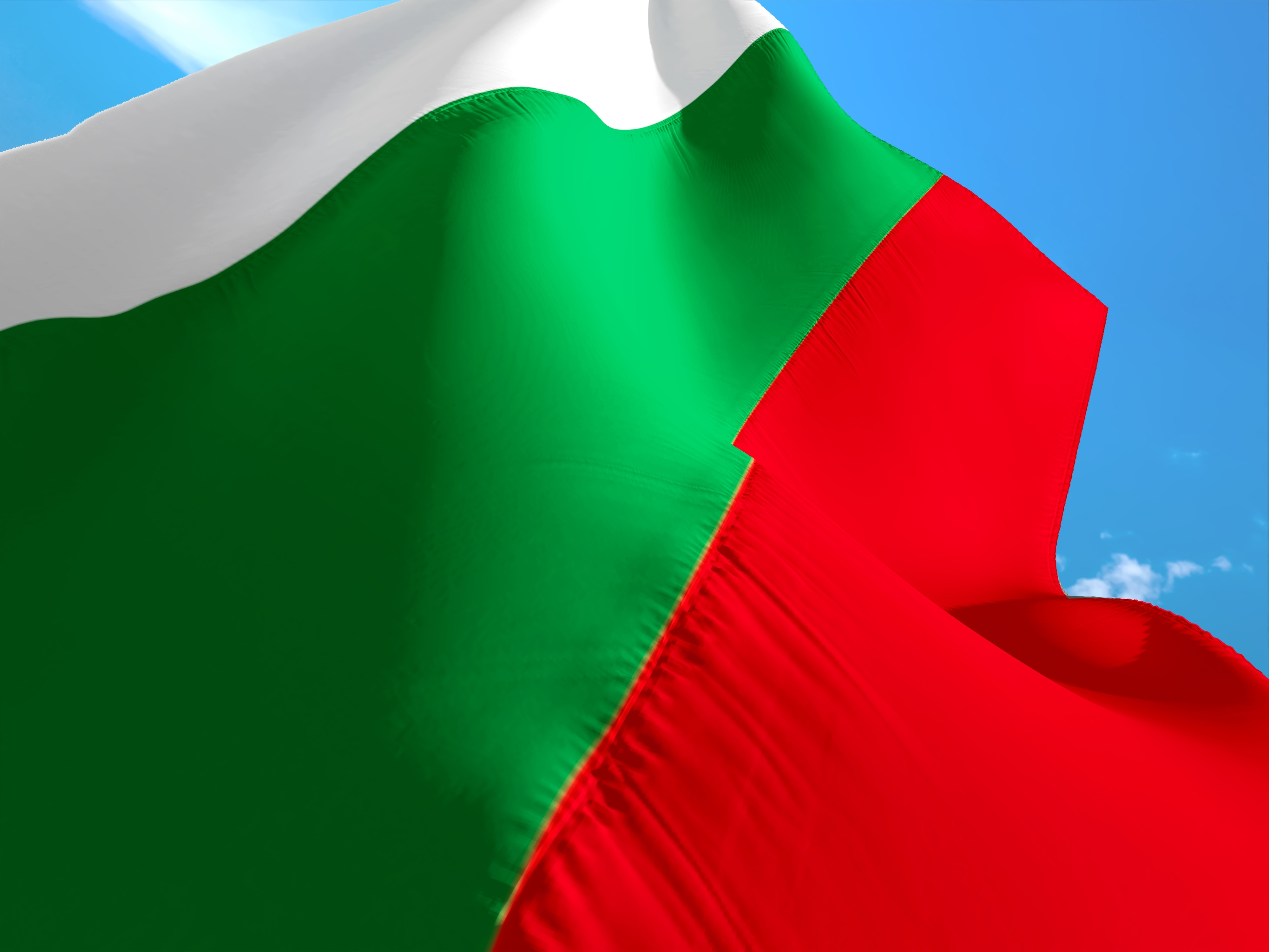 Ром открадна и изгори националния флаг
