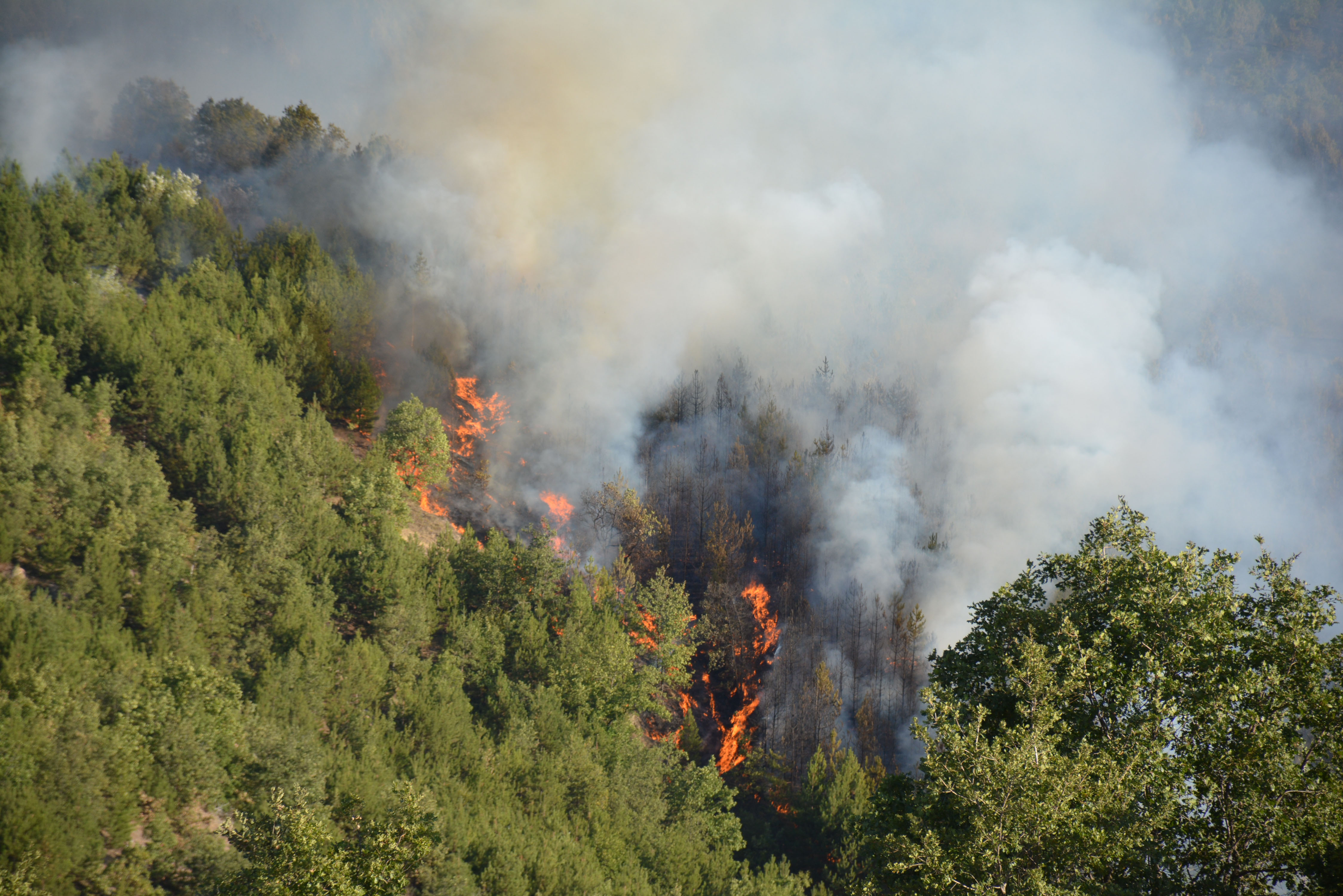 Големият горски пожар над Кресненското дефиле горя 6 дена