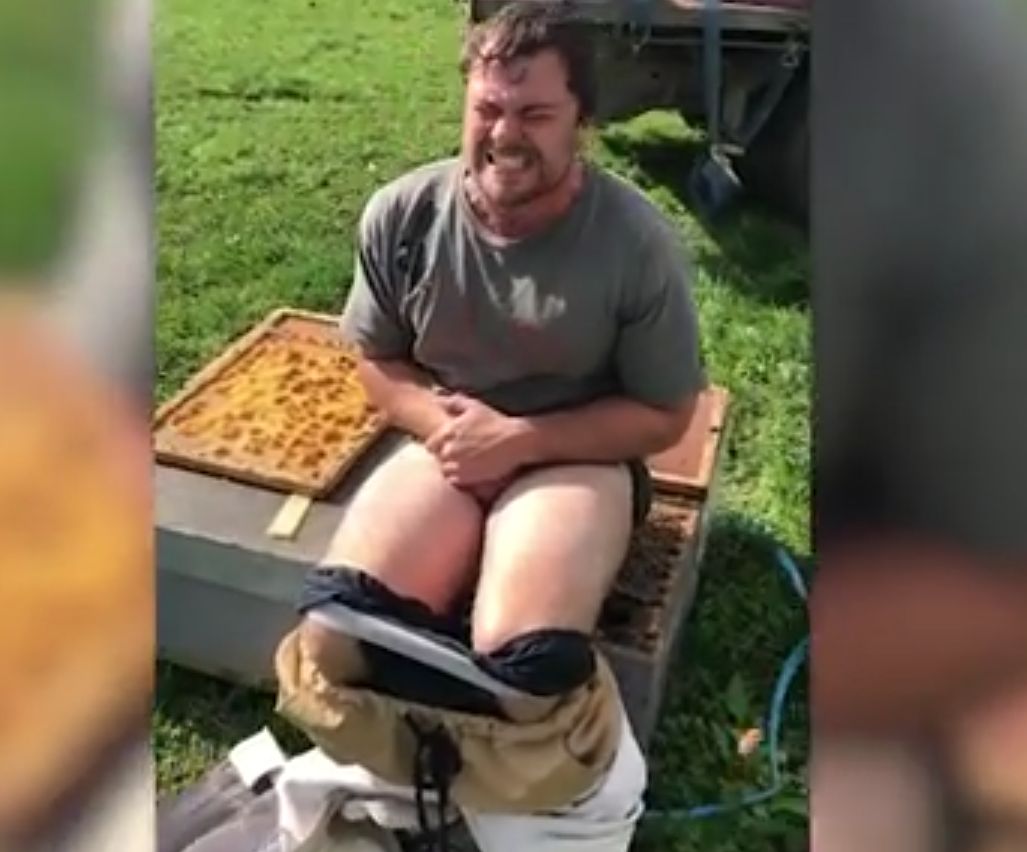 Пчелар седна гол върху кошер заради бас (видео)