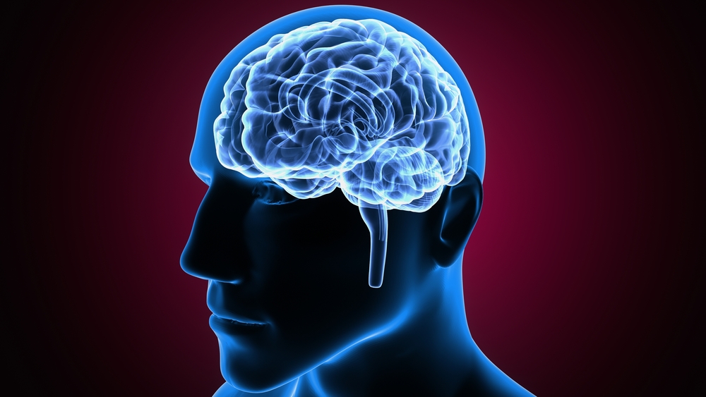 Учени: Полумрак съсипва мозъка