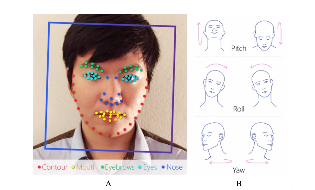 Софтуерът анализира разположението и големината на носа, челото, челюстта, очите и веждите
