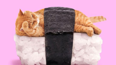Котка и суши или уникалните колажи на Пол Фуентес