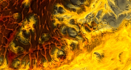 Специална прожекция на Терънс Малик, с картини и фотографии