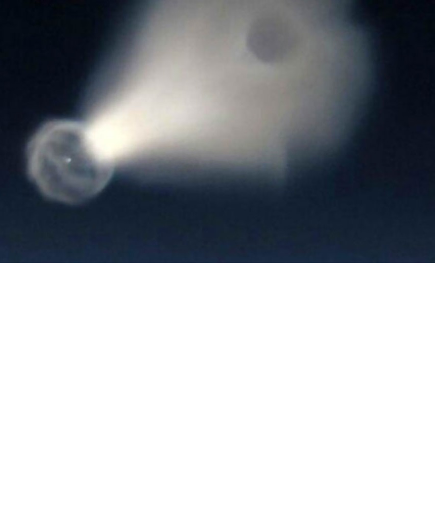 Феноменът в САЩ