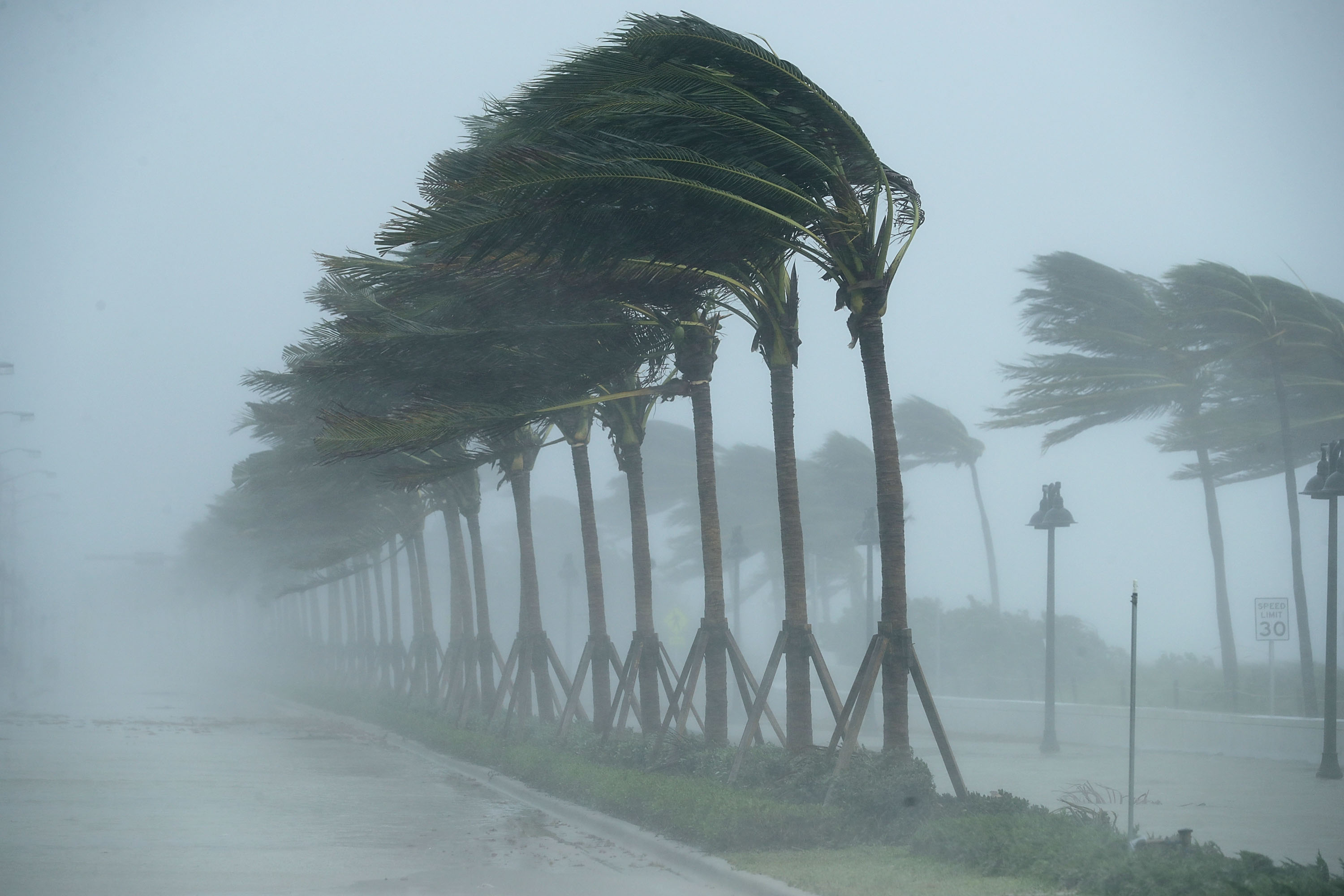 Ураганът Ирма опустоши през октомври м. г. значителни територии в американския Юг
