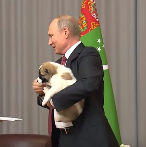 Путин с нов пухкав подарък за ЧРД (видео)