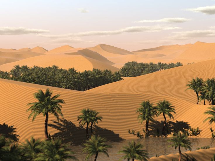 Оазис в пустинята Сахара
