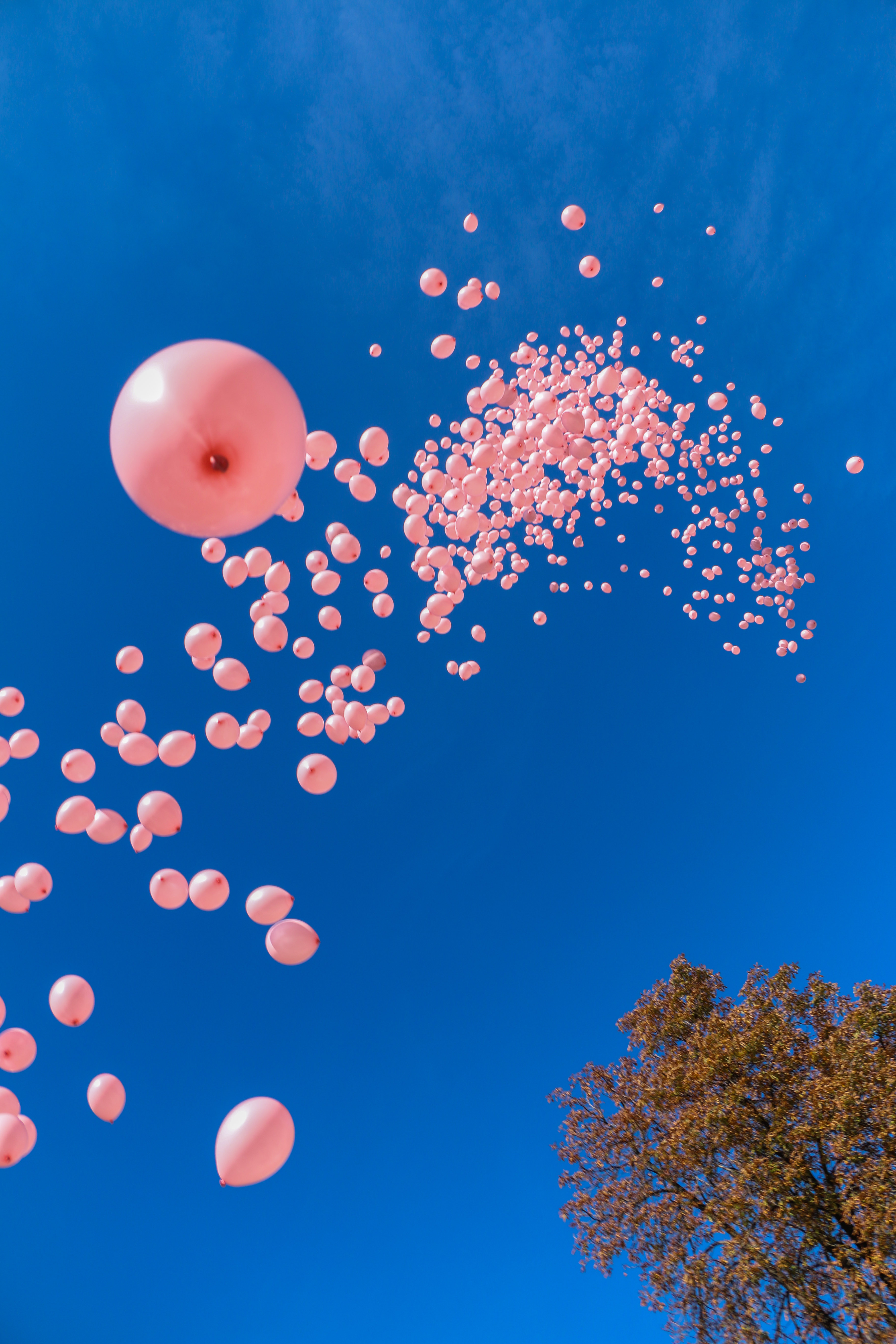 1200 балона над НДК напомниха за жертвите на рака на гърдата