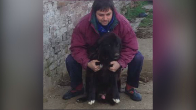 Собственик е Христо Манолов, който има десетки обяви в интернет, чрез които продава кучета