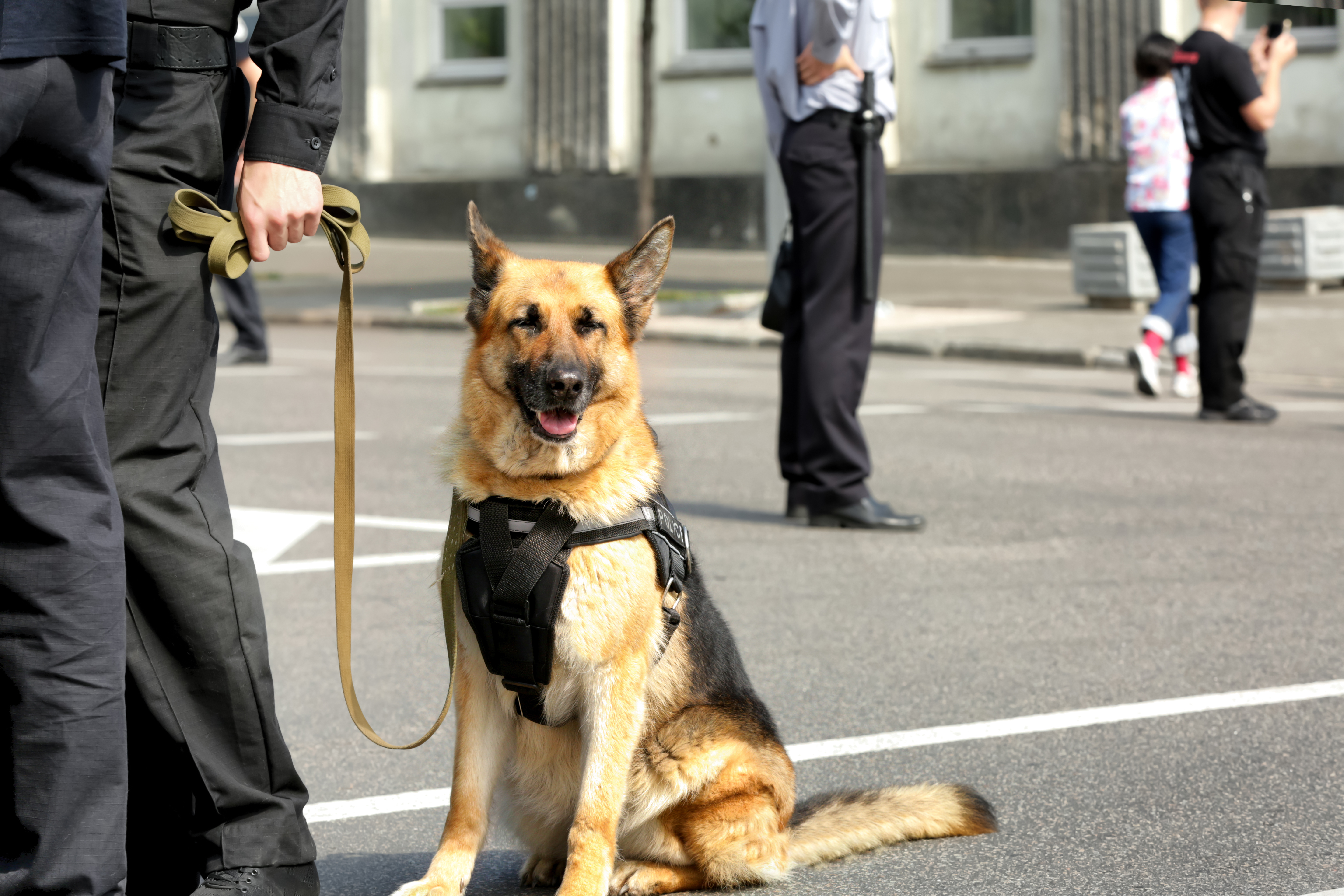 Австрийските власти твърдят, че проверката с обучени кучета е дискретна и досега не е предизвиквала оплаквания