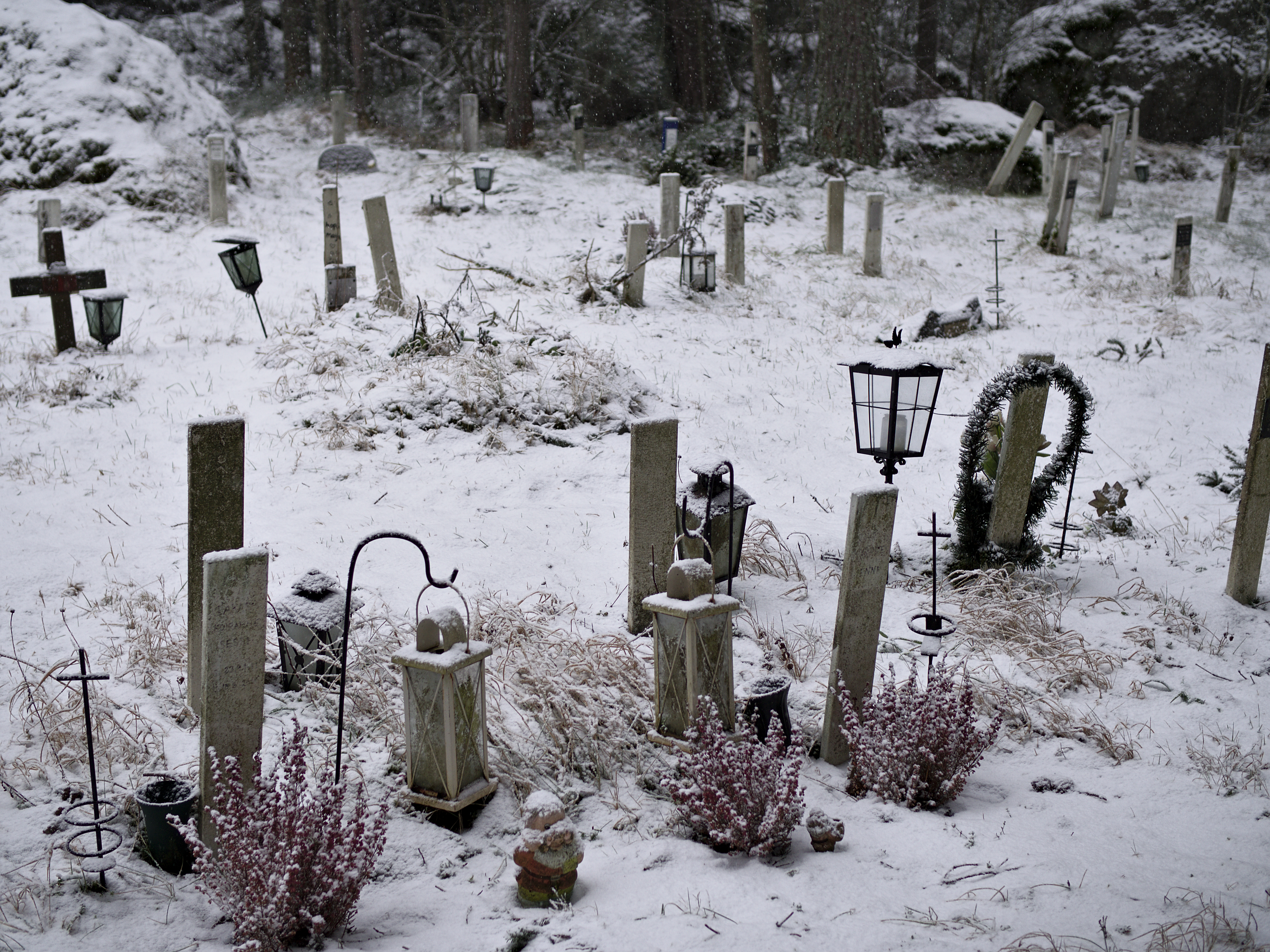 Гробищата за домашни любимци придобиват популярност в Германия