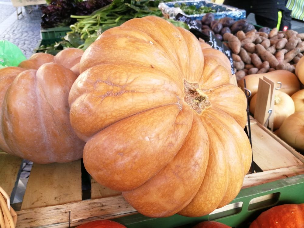 България произвежда най-много тикви в ЕС