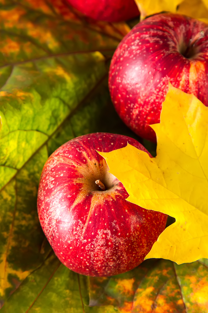 Никой не знае колко точно витамин C има в една ябълка
