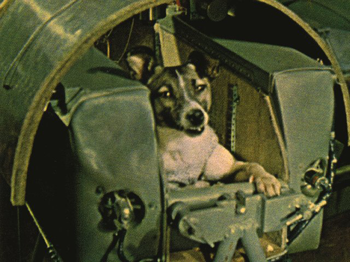60 години от изстрелването на кучето Лайка в космоса