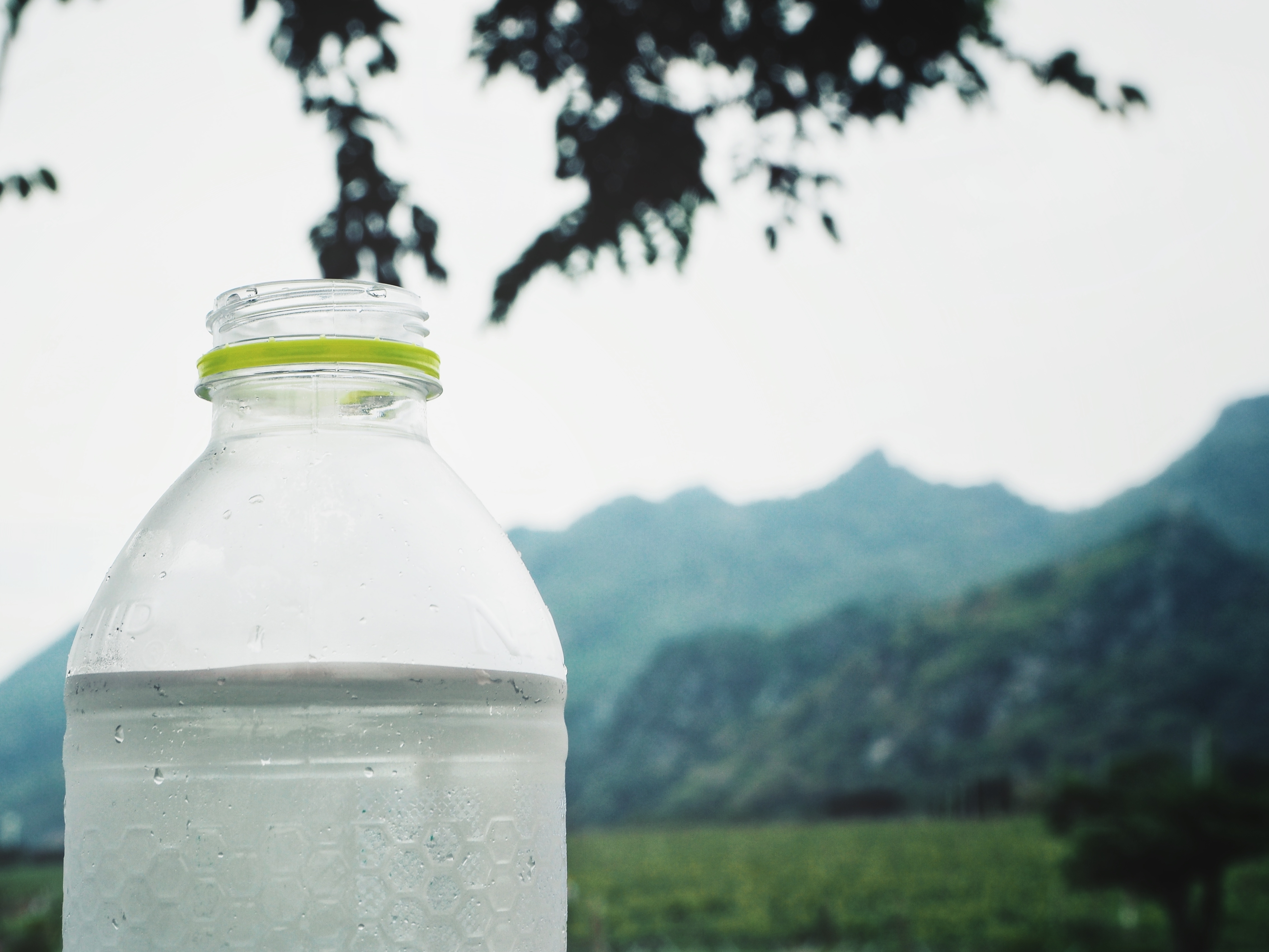 Мнозинството от анкетираните казват, че пият бутилирана вода