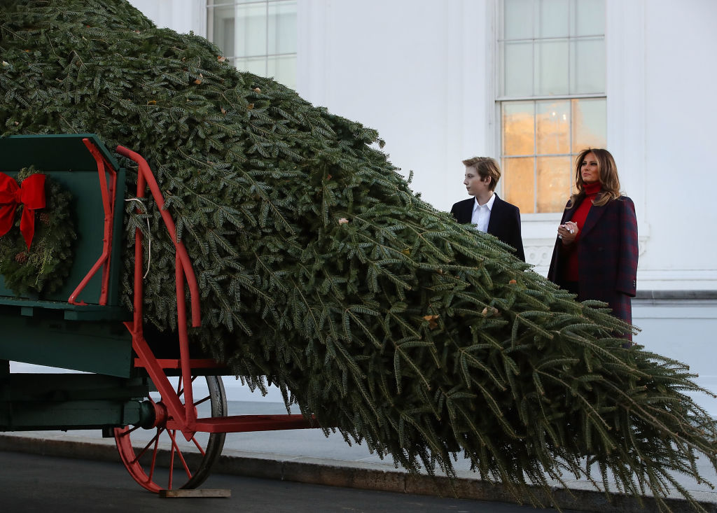 Мелания и Барън посрещнаха елхата в Белия дом
