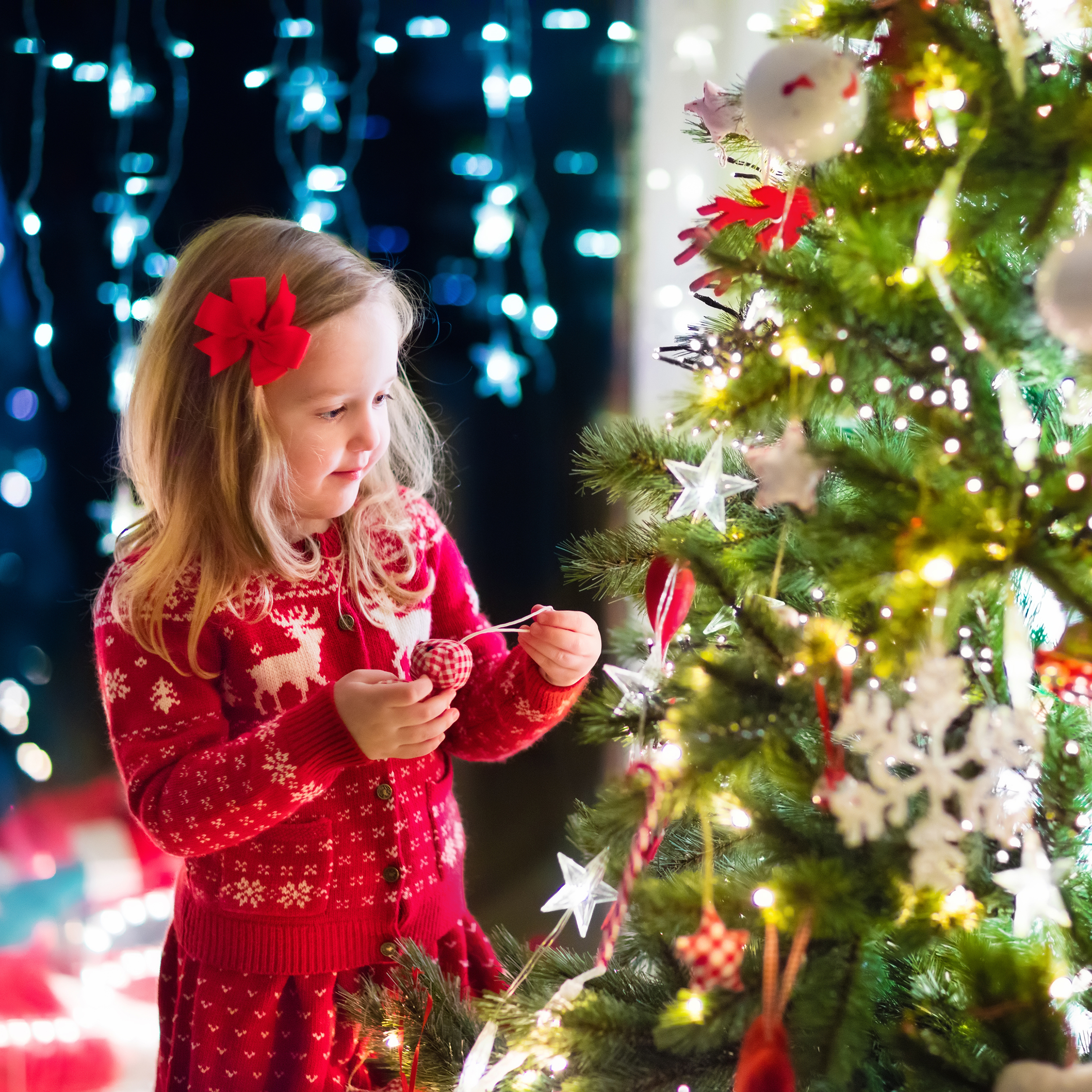 Учени: 25 000 буболечки ни казват ”Весела Коледа” от елхата