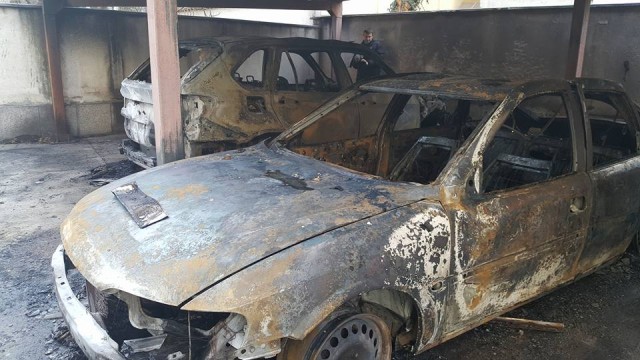 5 коли изгоряха при умишлен пожар в Пловдив