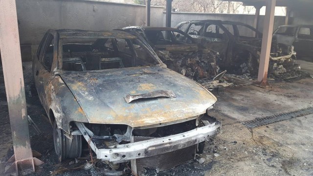 5 коли изгоряха при умишлен пожар в Пловдив