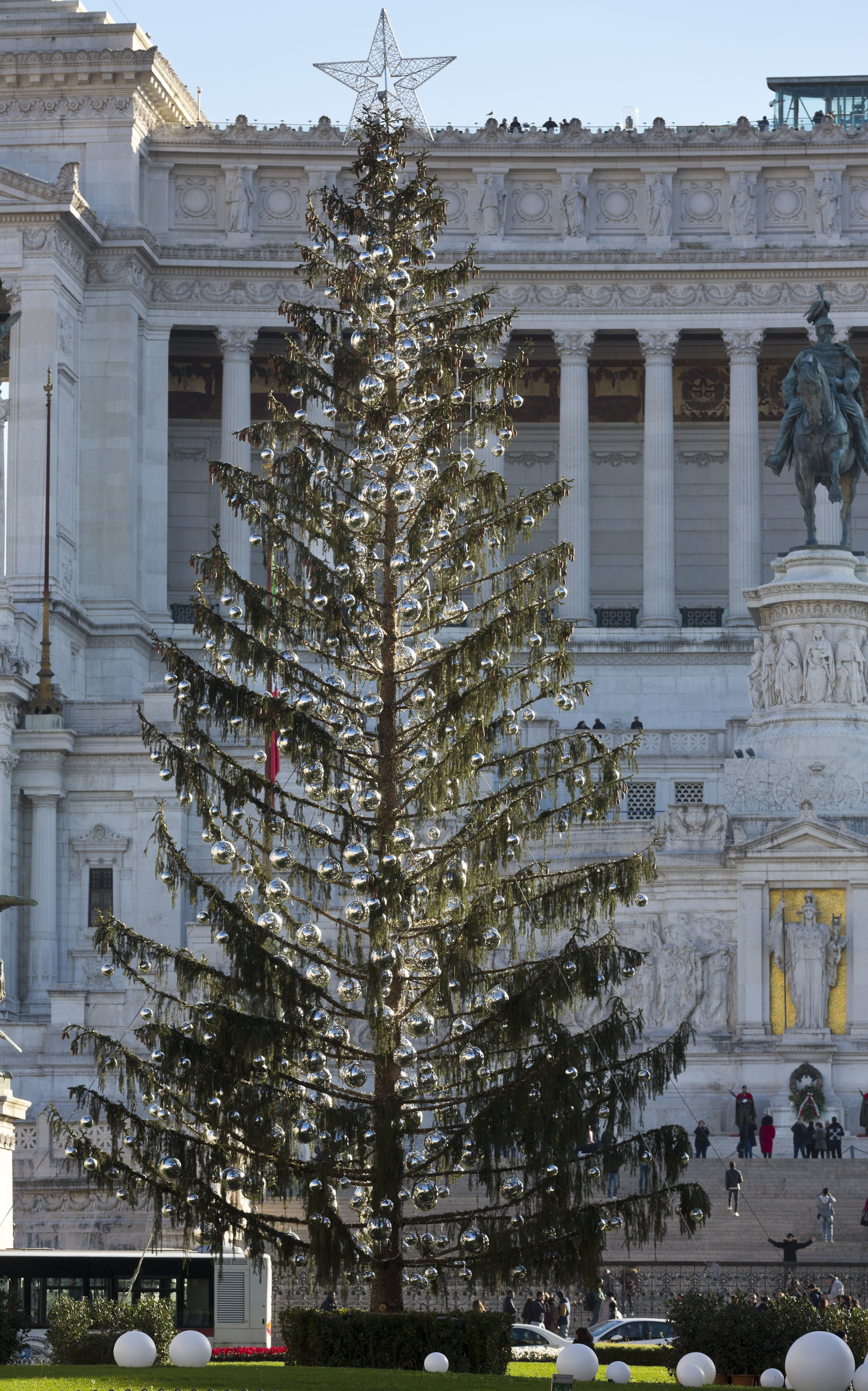 Коледната елха, коледното дърво на Рим