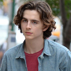 Тимъти Шаламей не бил одобрен за Спайдър-мен