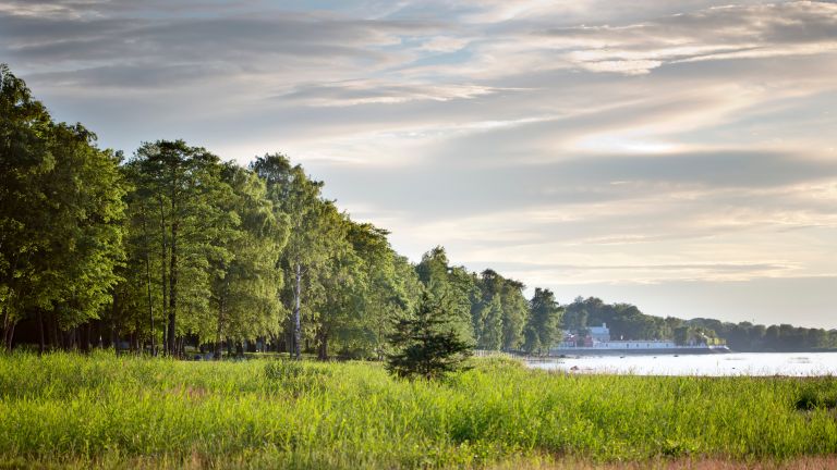 Кой ще замени руските туристи във Финландия