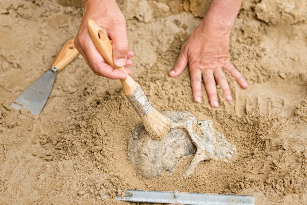 Археолози откриха човешките останки в пещерата Мислия