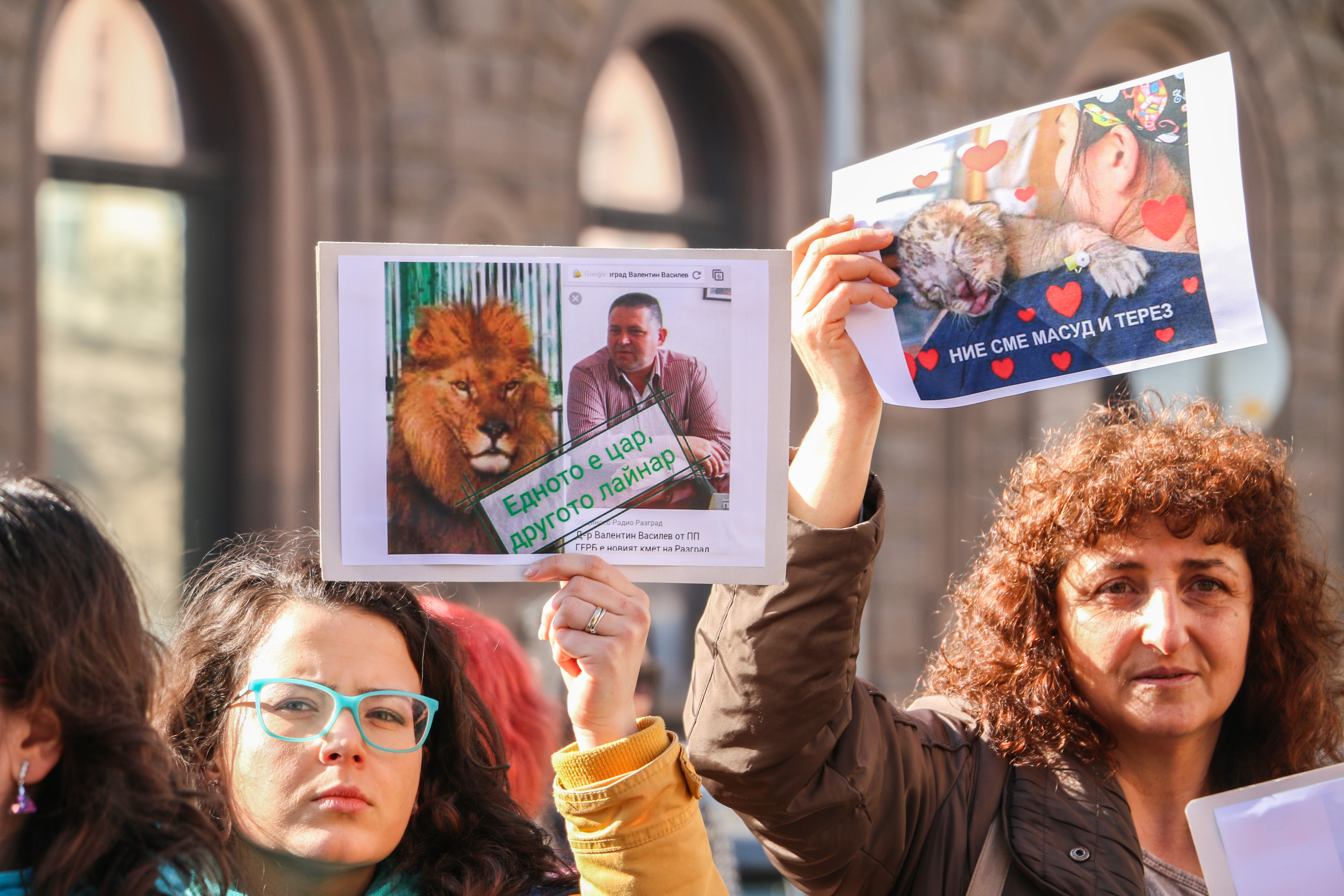 Протест в защита на лъвчетата Терез и Масуд