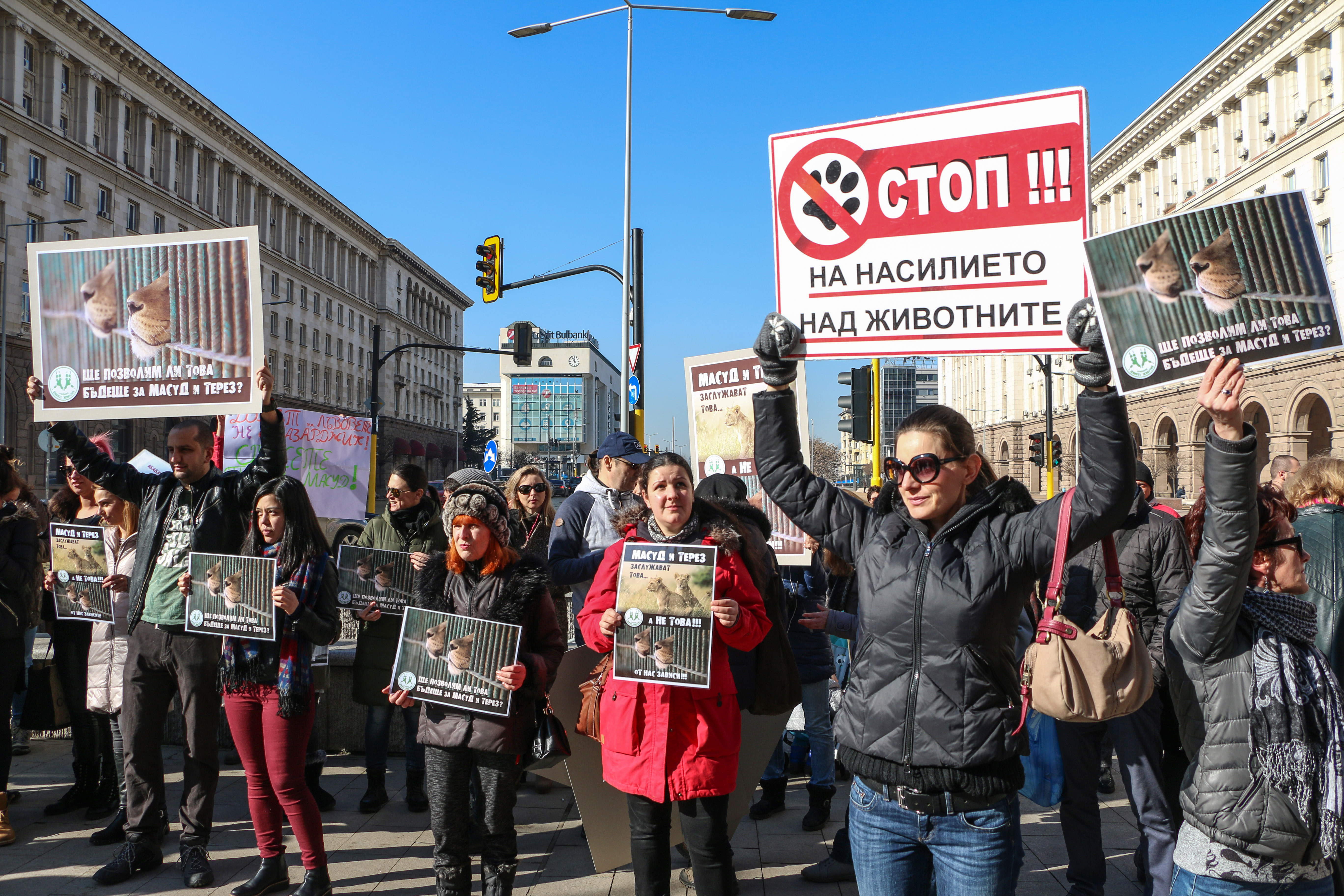 Протест в защита на лъвчетата Терез и Масуд