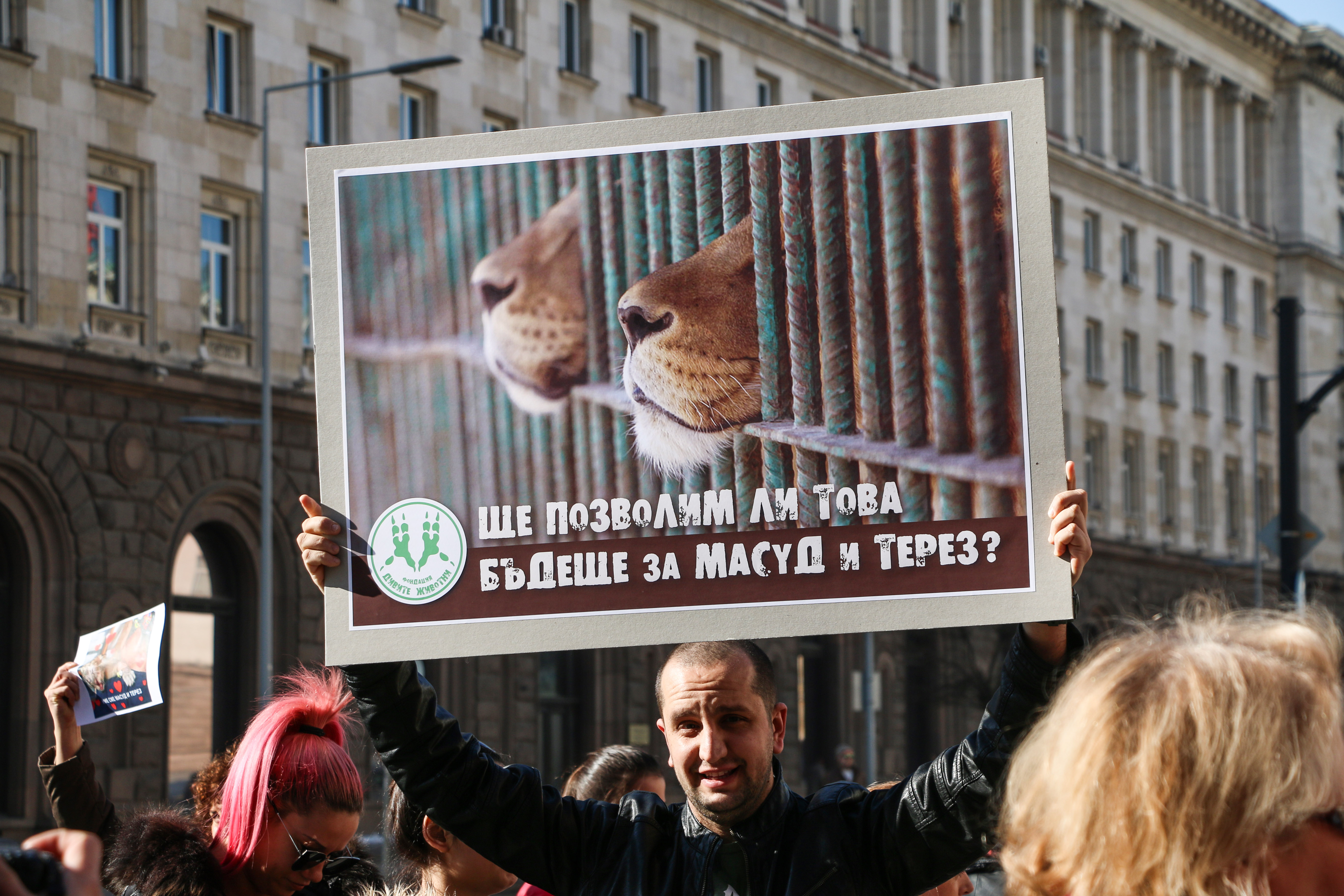 Протест в защита на лъвчетата Терез и Масуд