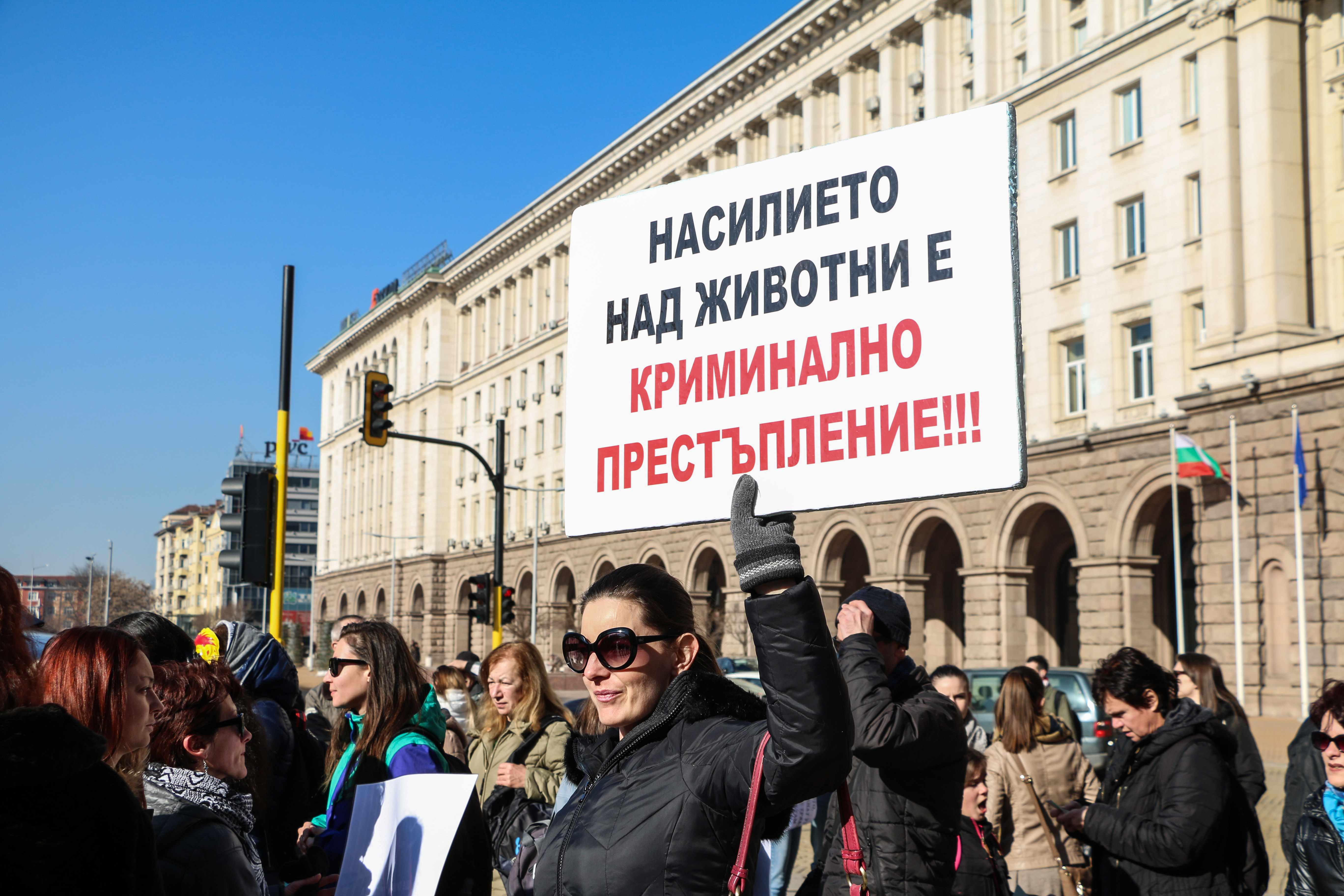 Протест в защита на лъвчетата Терез и Масуд