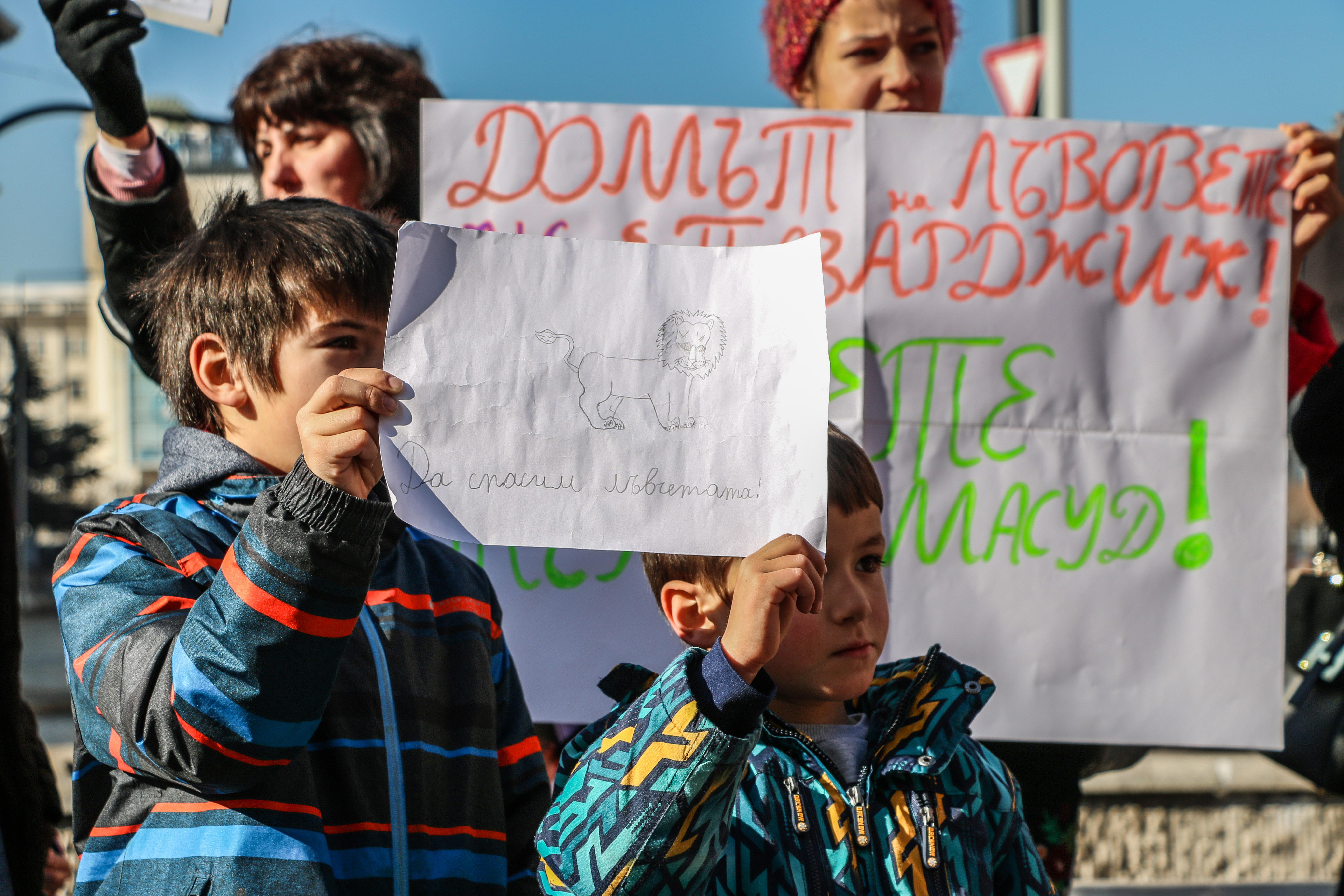 Протест в защита на лъвчетата Терез и Масуд