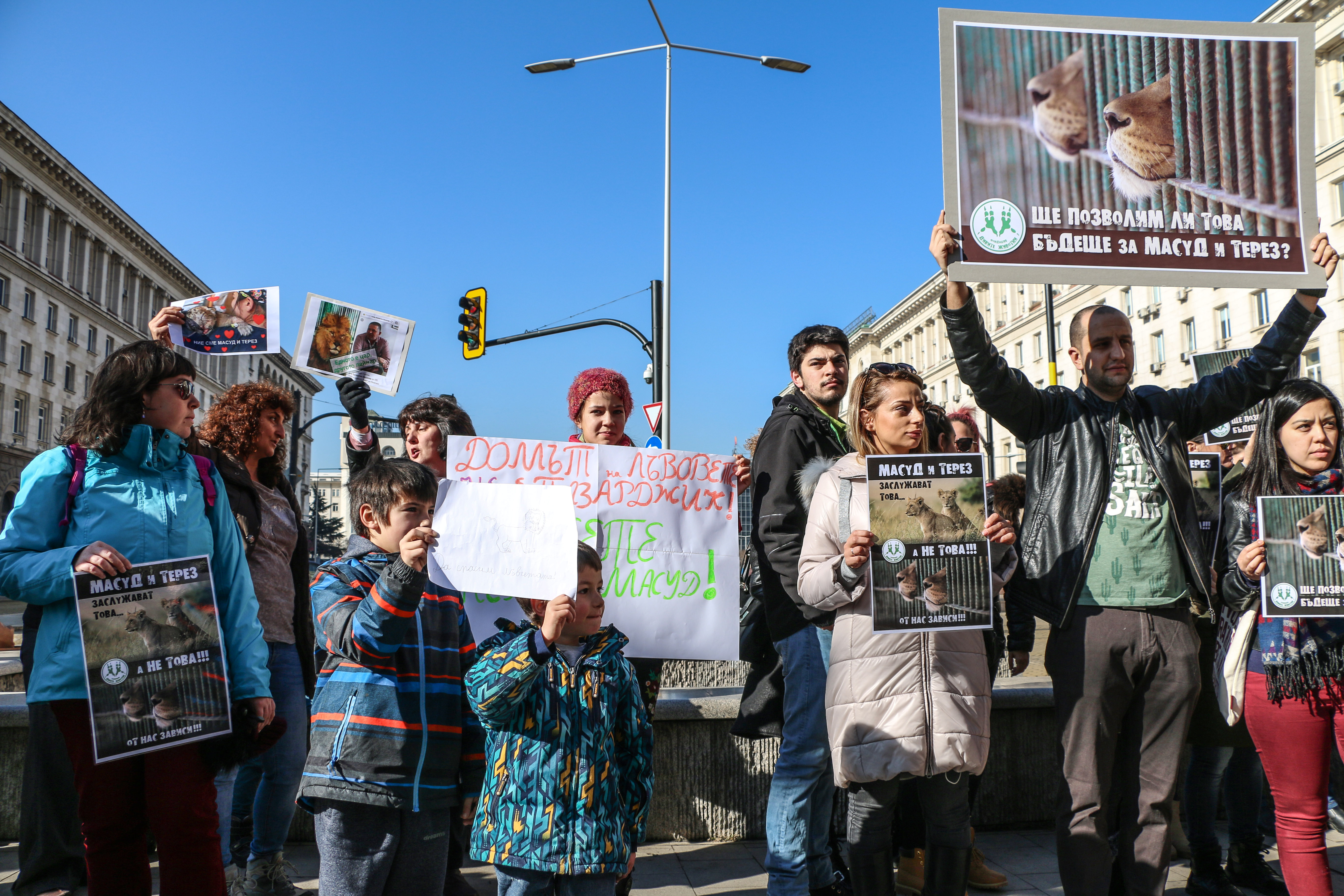 Протест в защита на лъвчетата Терез и Масуд