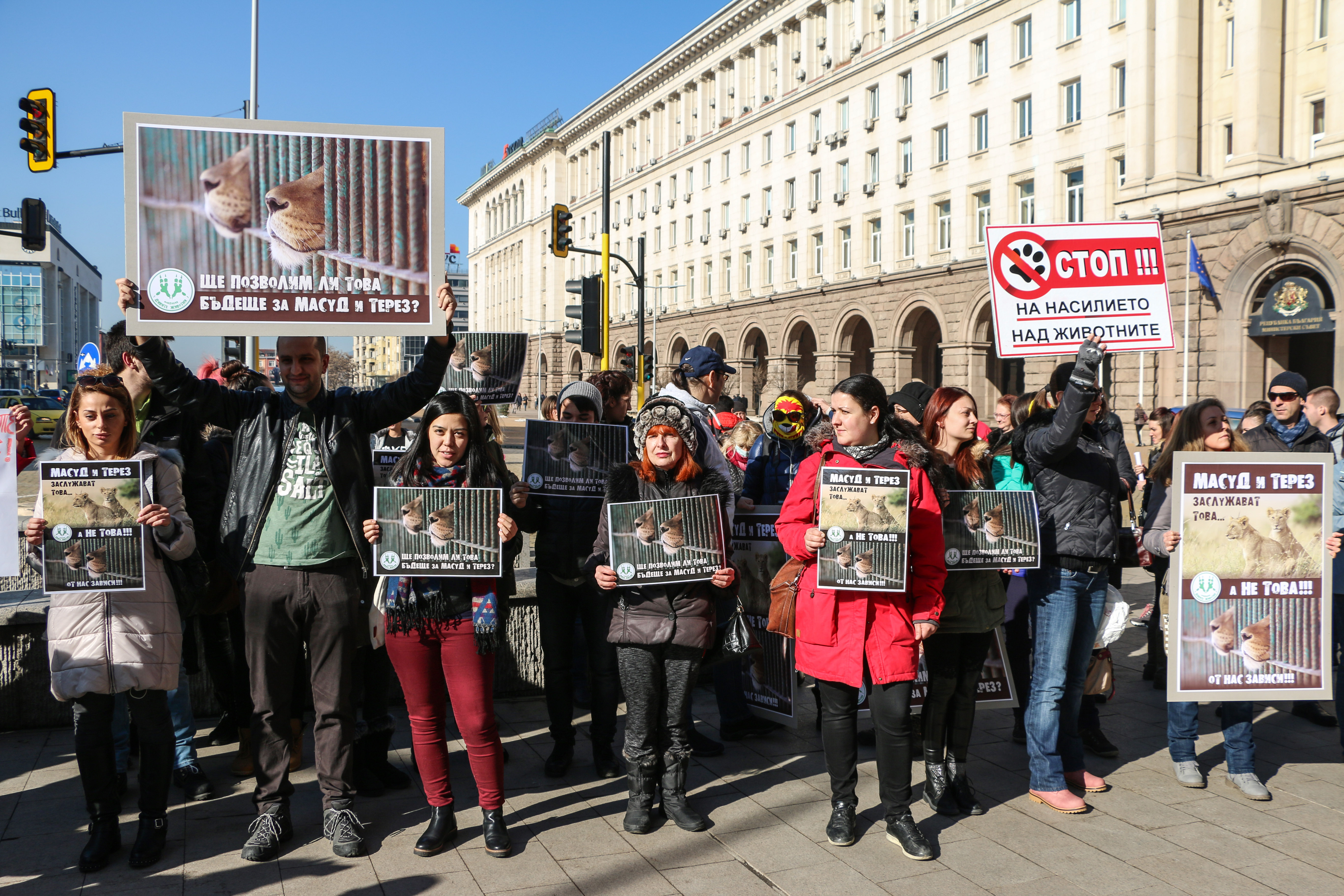 Протест в защита на лъвчетата Терез и Масуд