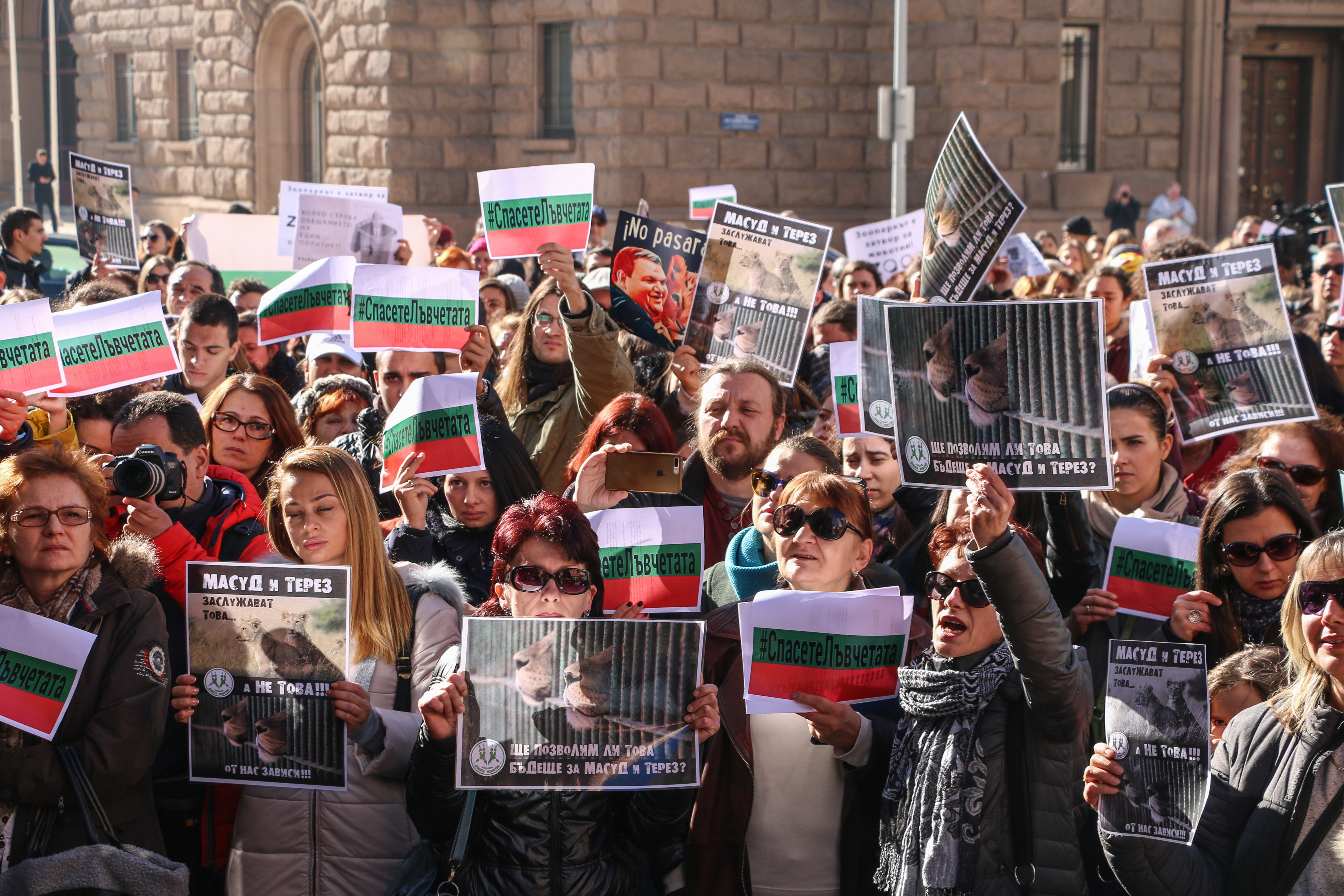 Протест в защита на лъвчетата Терез и Масуд