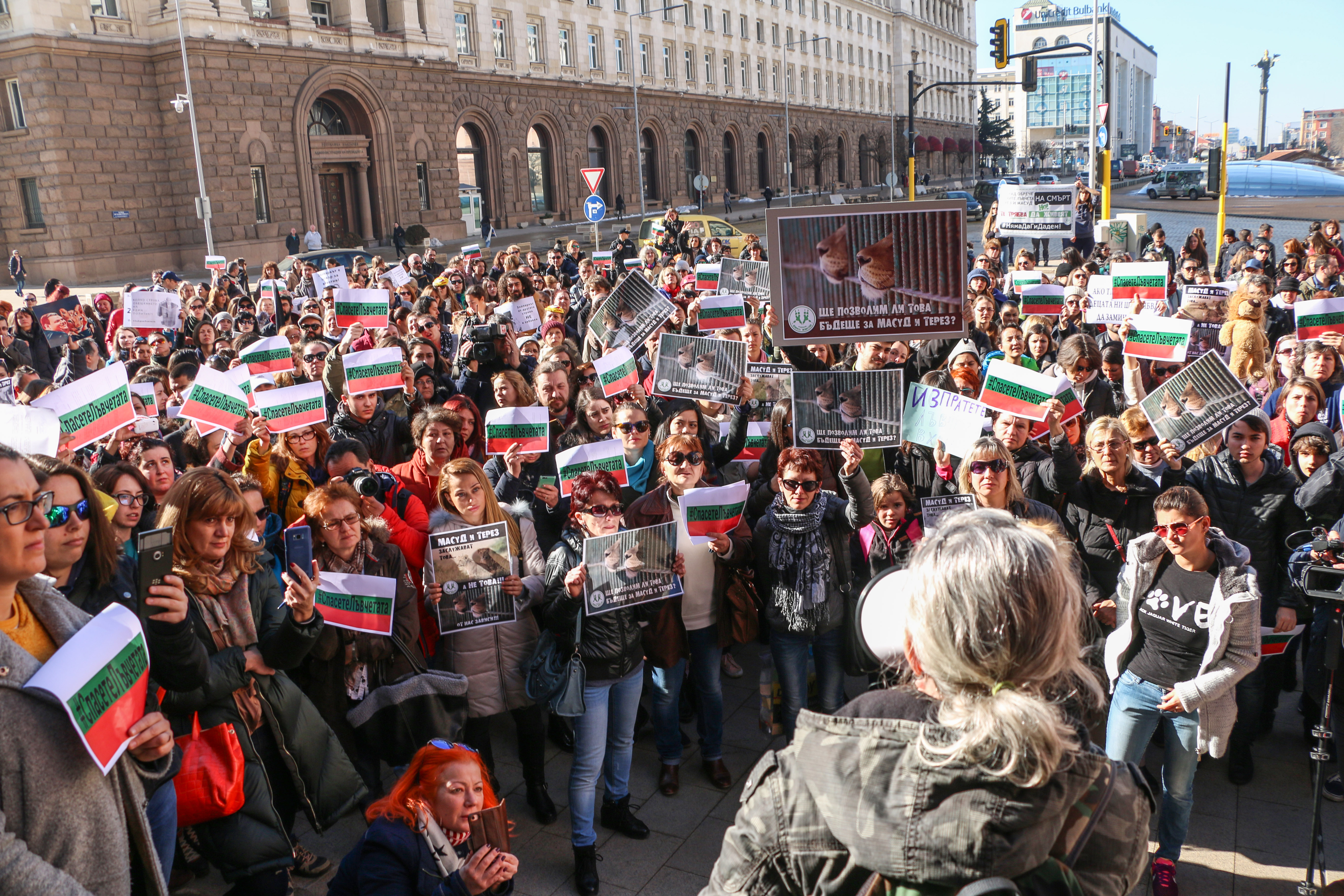 Протест в защита на лъвчетата Терез и Масуд