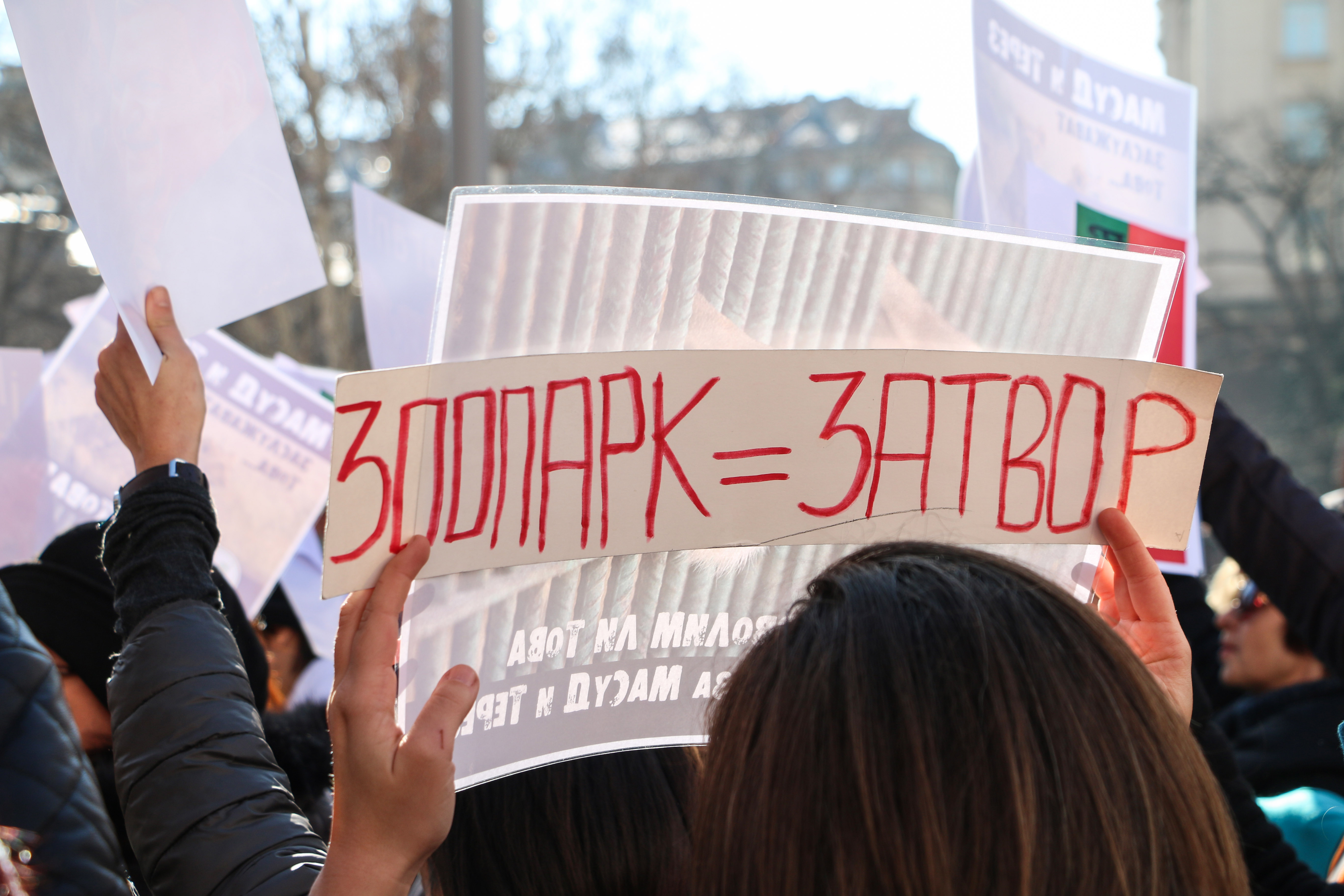 Протест в защита на лъвчетата Терез и Масуд