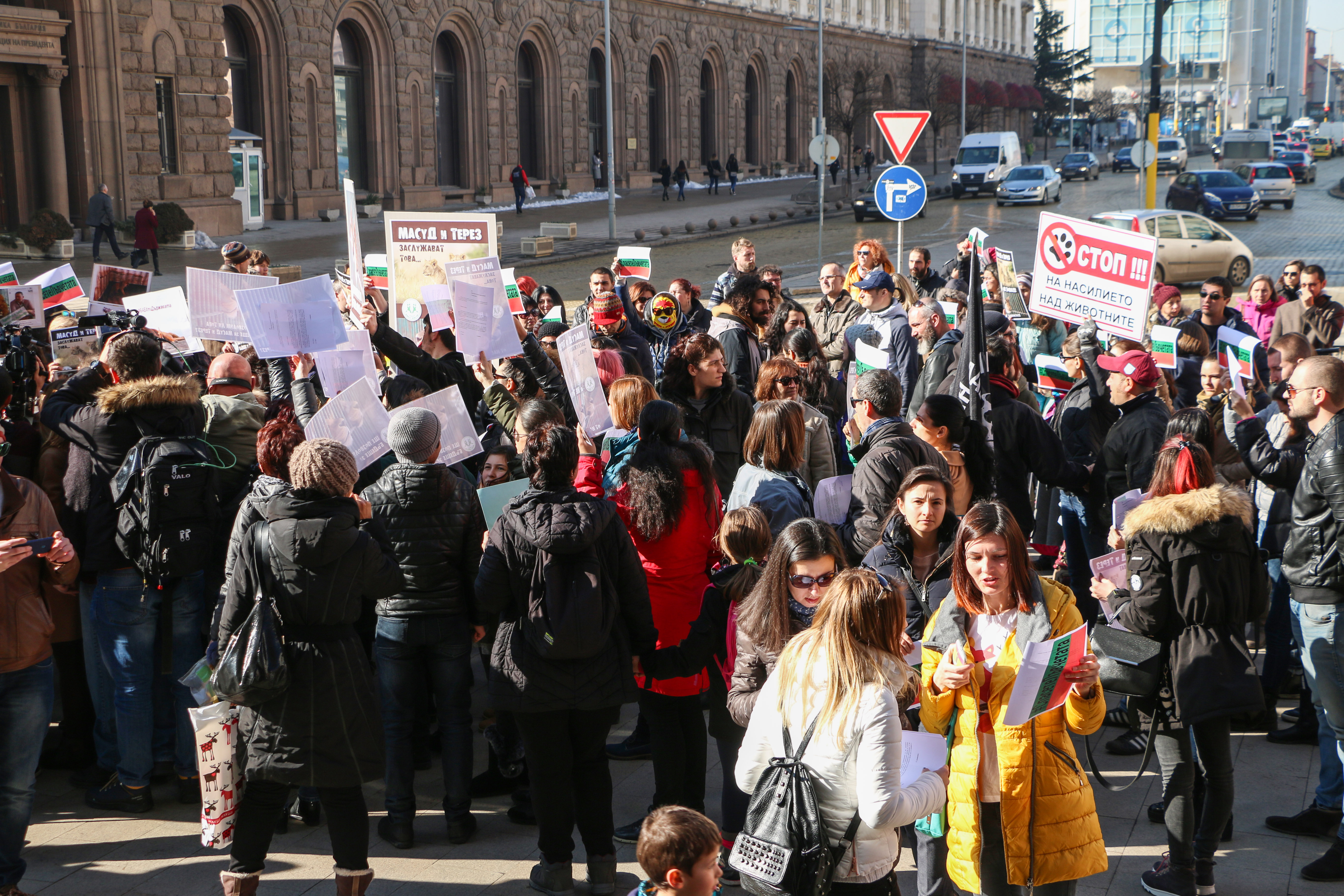 Протест в защита на лъвчетата Терез и Масуд