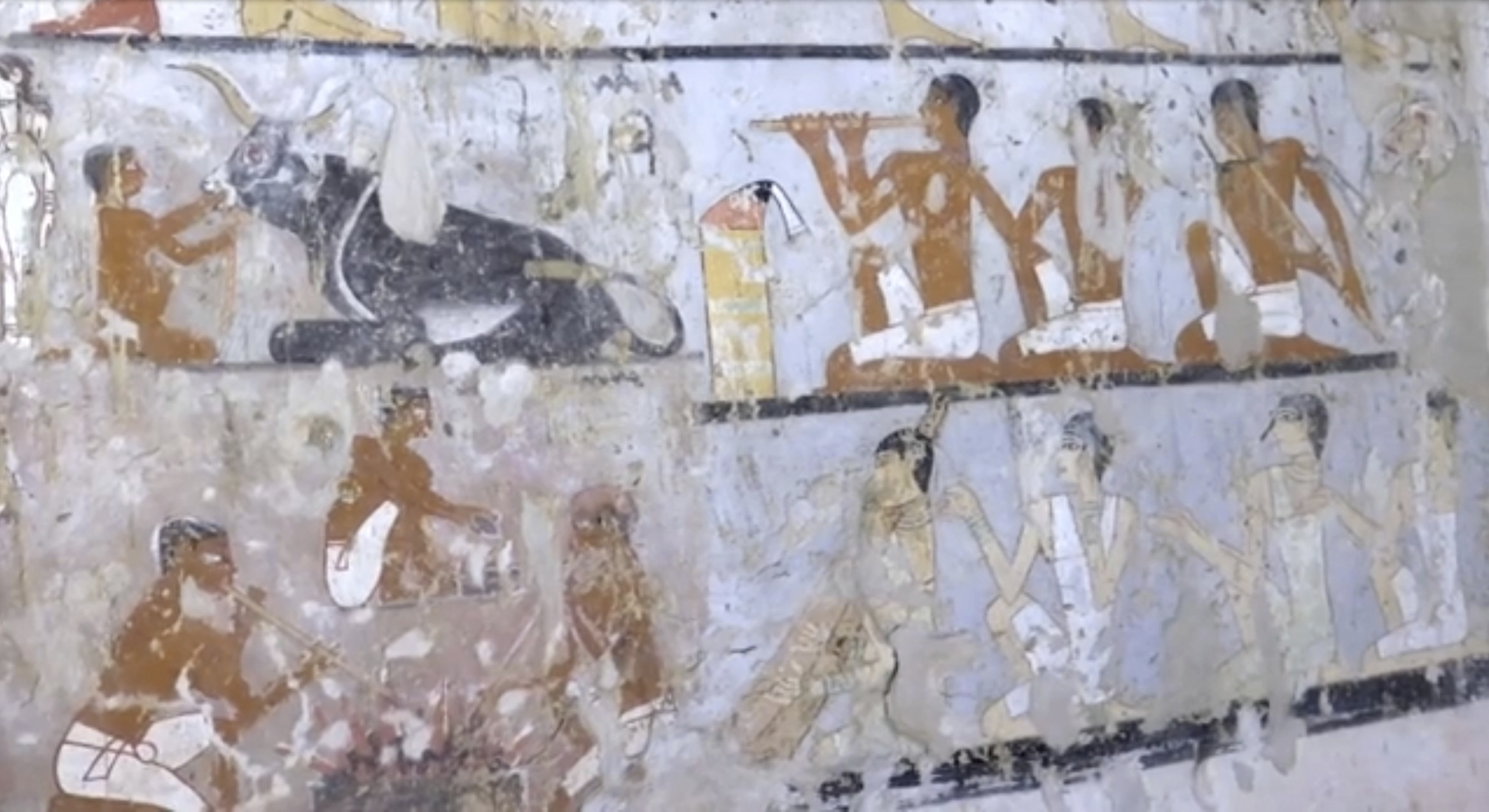 Част от стенописите в новооткритата древна египетска гробница край Кайро