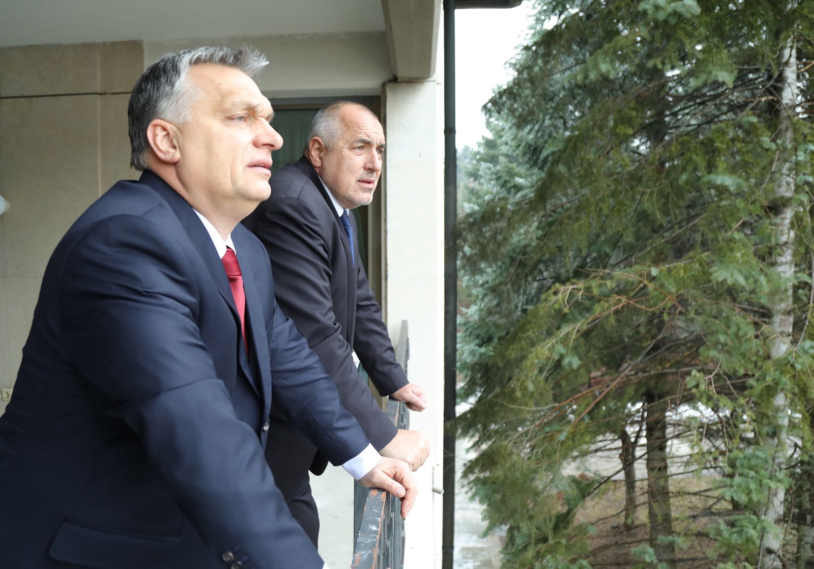 Борисов посрещна Орбан в София (снимки)