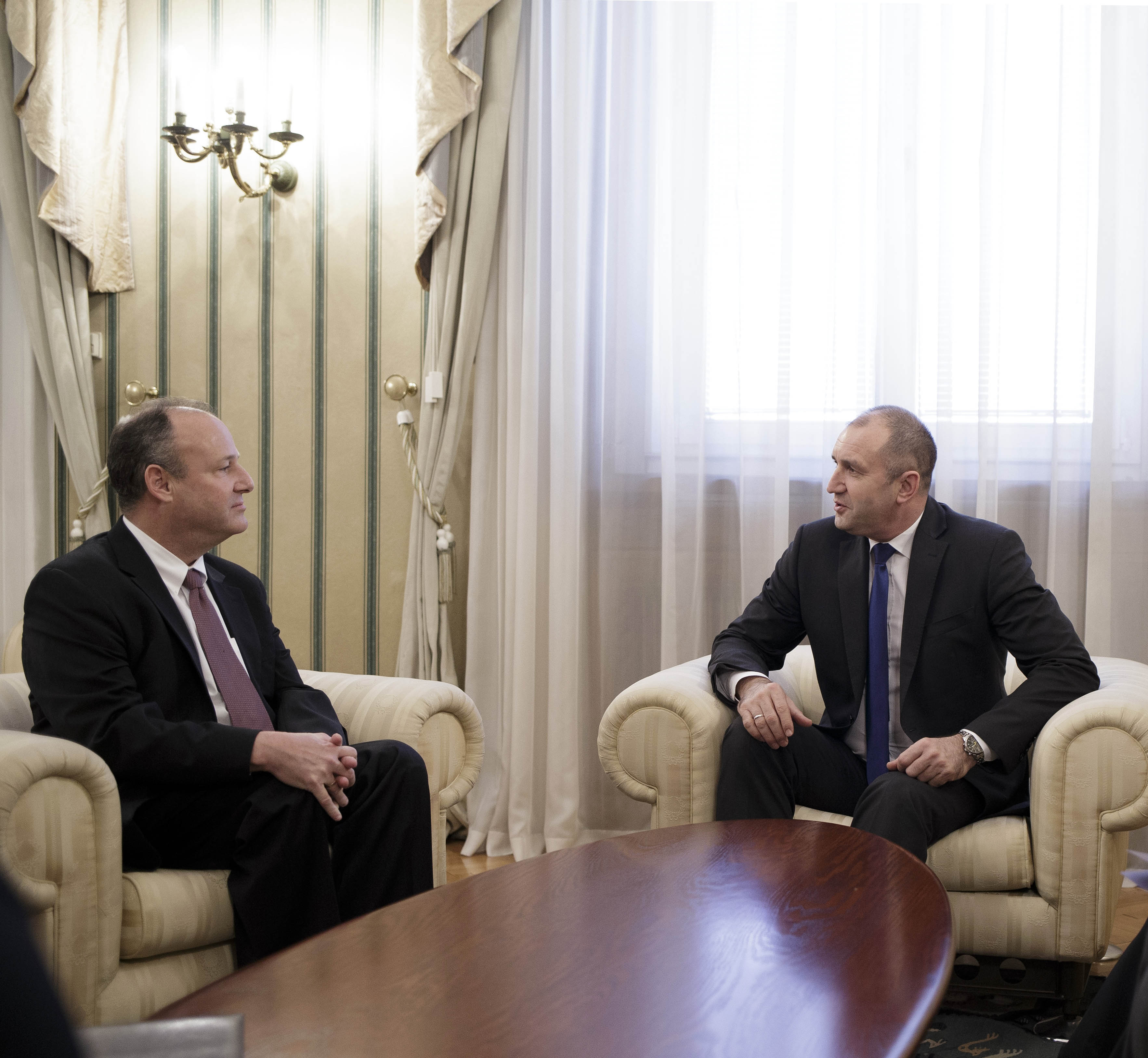 Посланикът на САЩ у нас Ерик Рубин разговаря с президента Румен Радев