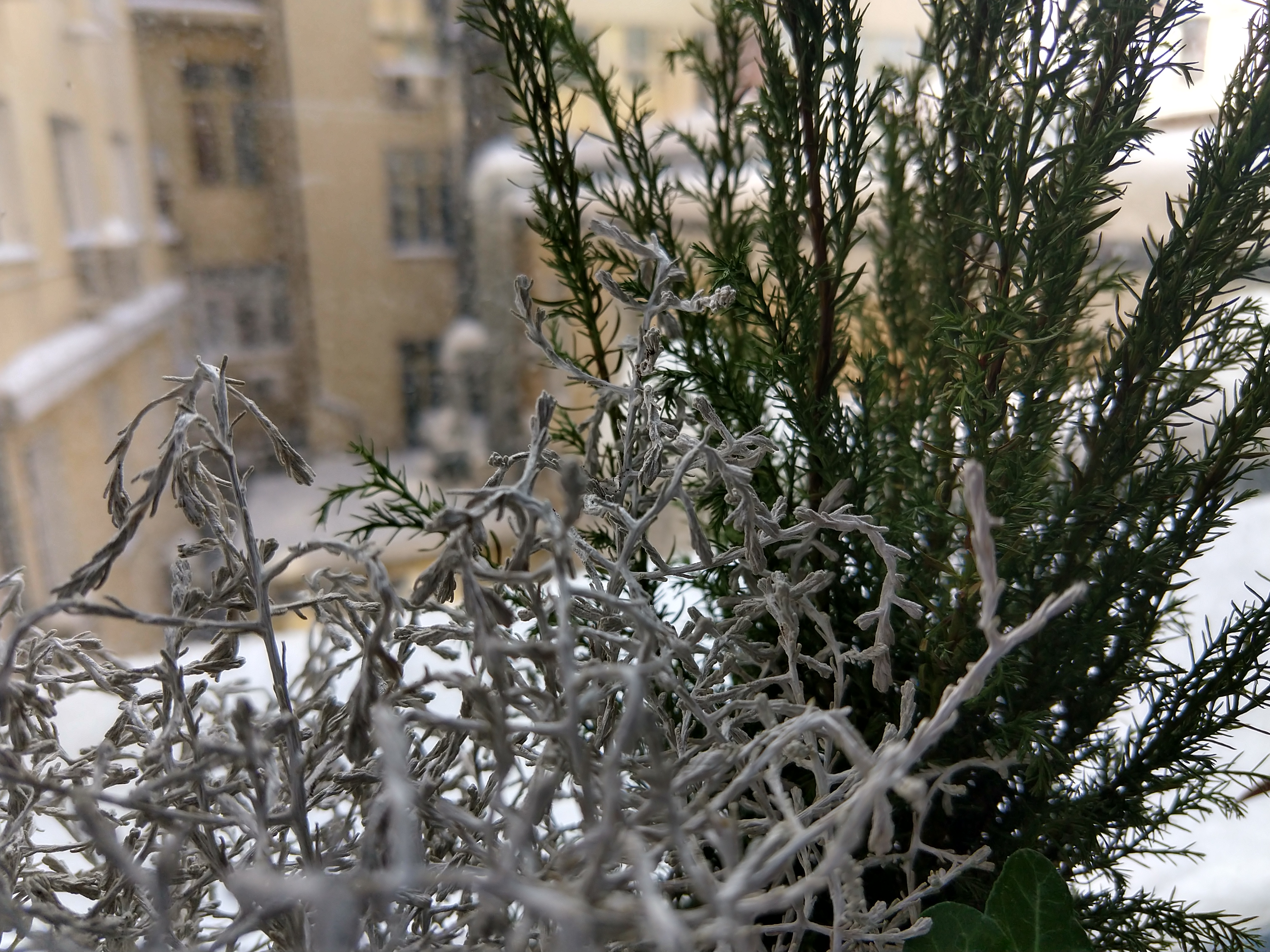 Снимка, направена с Moto X4