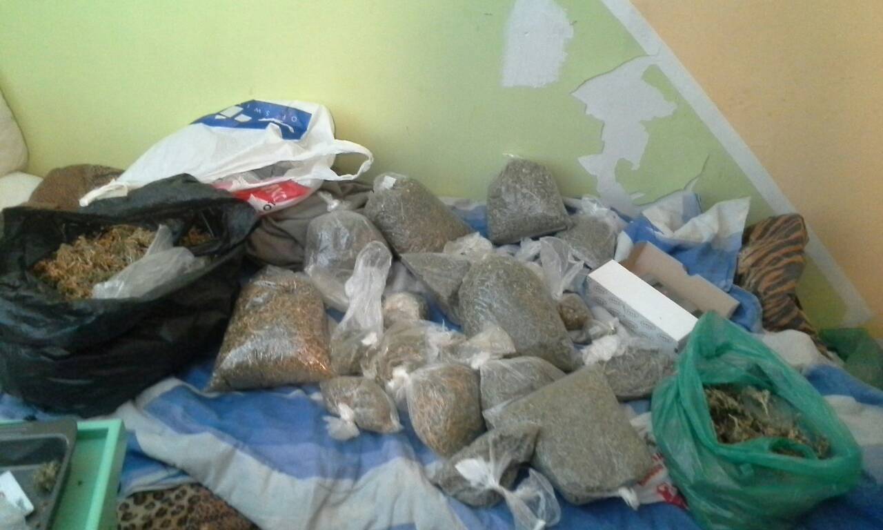 Полицията разкри оранжерии за марихуана в София