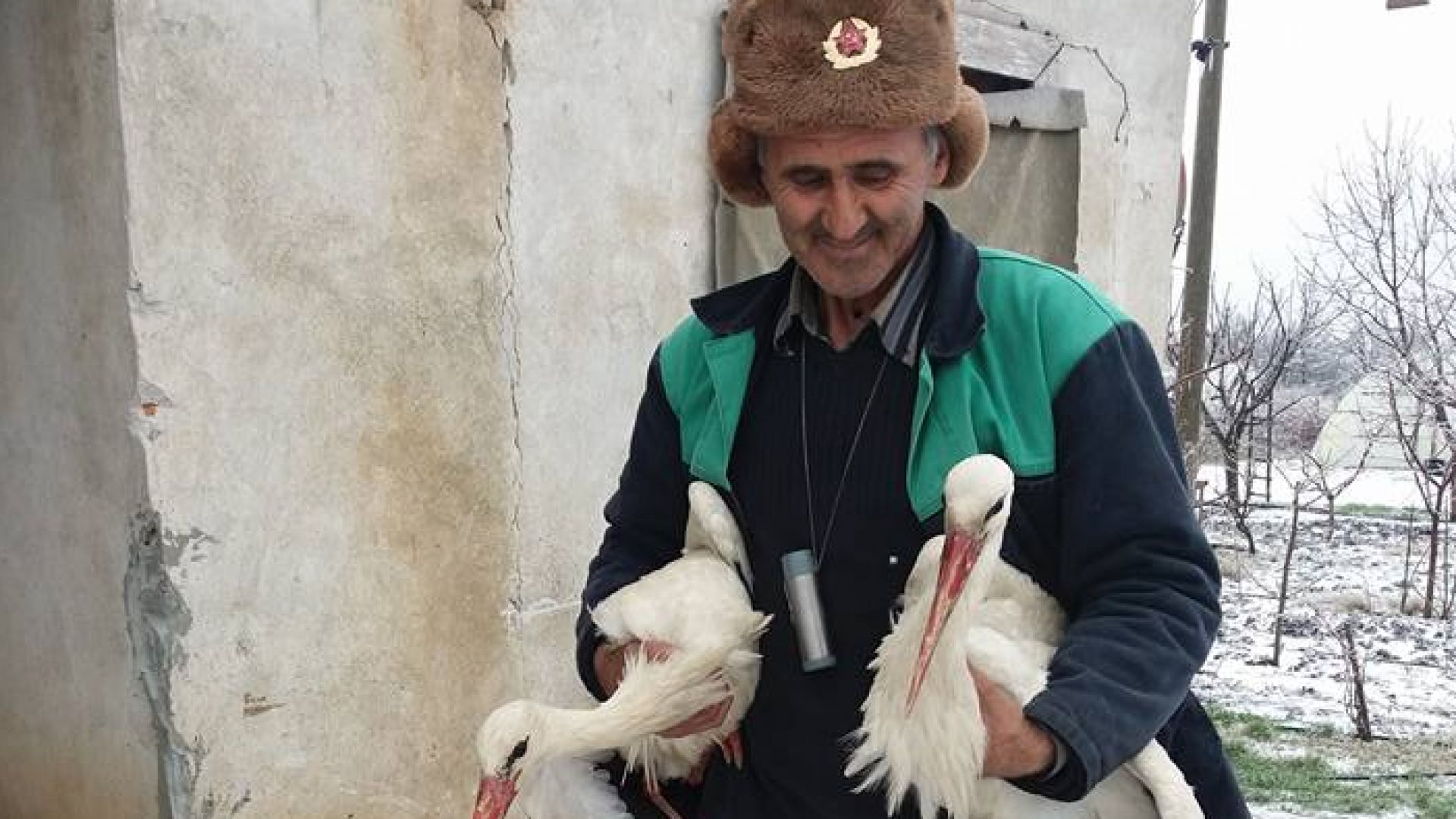 ”Гардиън”: Българите спасяват щъркели от студа