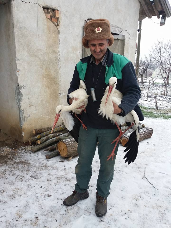 Сафет Халид от силистренското село Зарица спаси няколко измръзнали щъркела