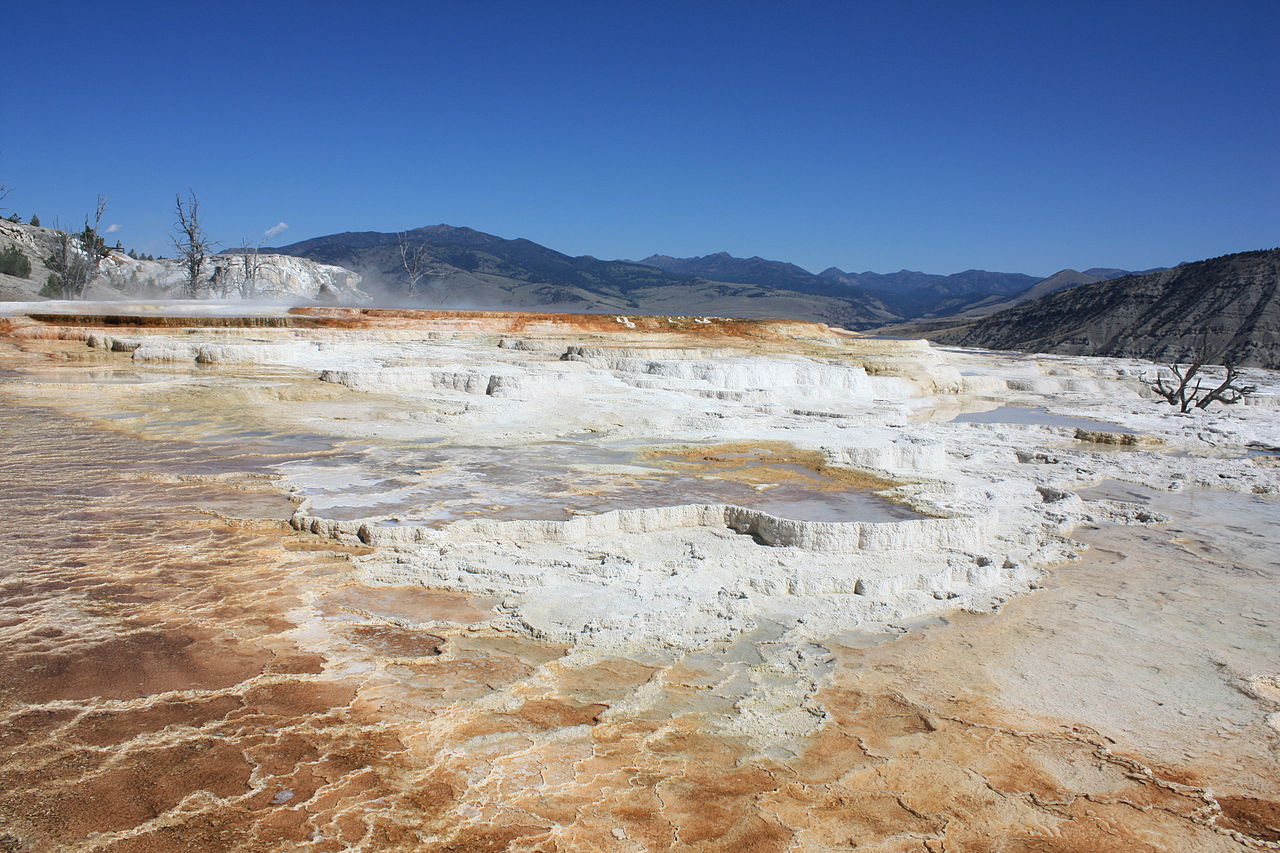 Национален парк ”Йелоустоун”