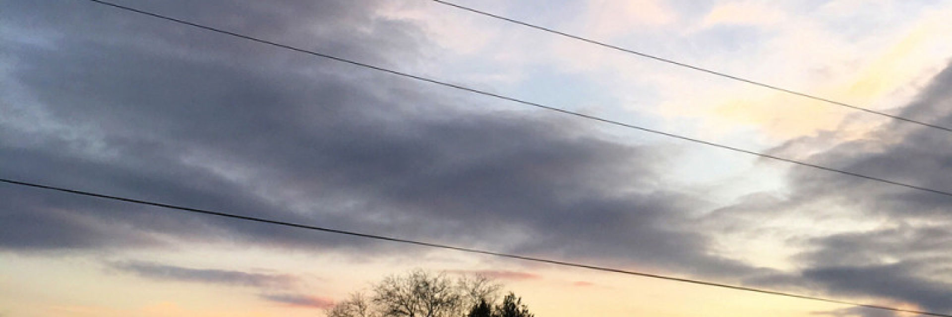 Американска фотографка снима коне така, че никой не ги вижда