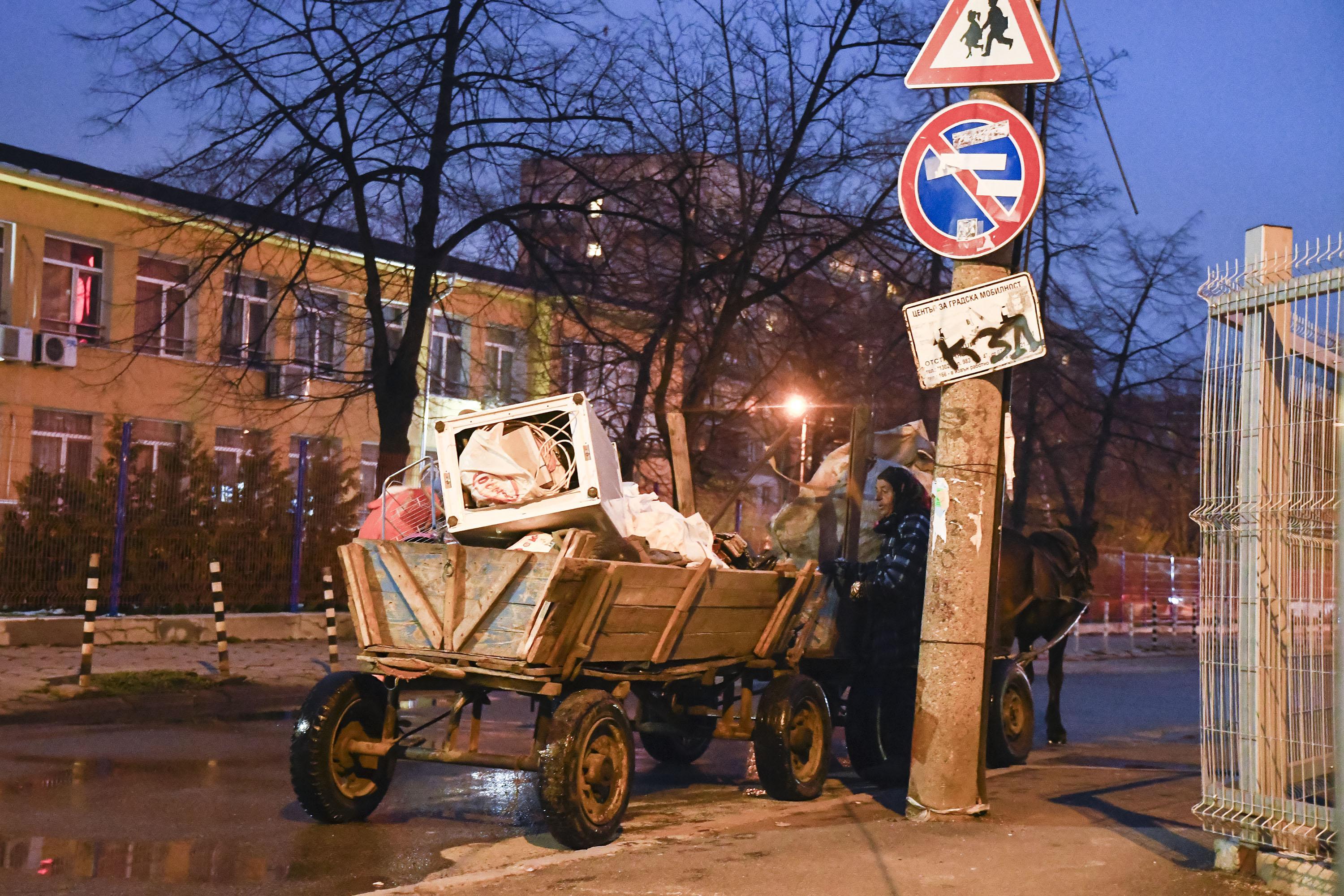 Кобила роди на улица в квартал ”Гео Милев” в София